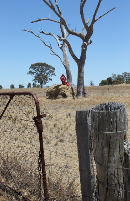 2 of 3 Photo-taking & Story-telling, Creative Writing by Karen Robinson Titled 'Santa's Pooped!' Just south of Bendigo Dec 2015 NB All images are protected by copyright laws.jpg