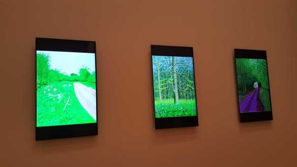 20 David Hockney Current Exhibition at National Gallery Victoria Nov2016 Photographed by Karen Robinson