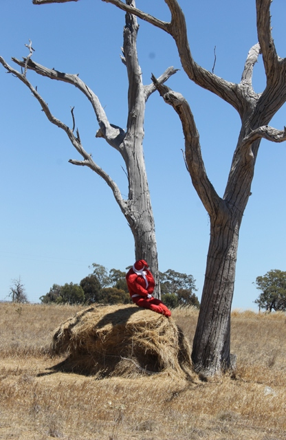 3of 3 Photo-taking & Story-telling, Creative Writing by Karen Robinson Titled 'Santa's Pooped!' Just south of Bendigo Dec 2015 NB All images are protected by copyright laws.jpg