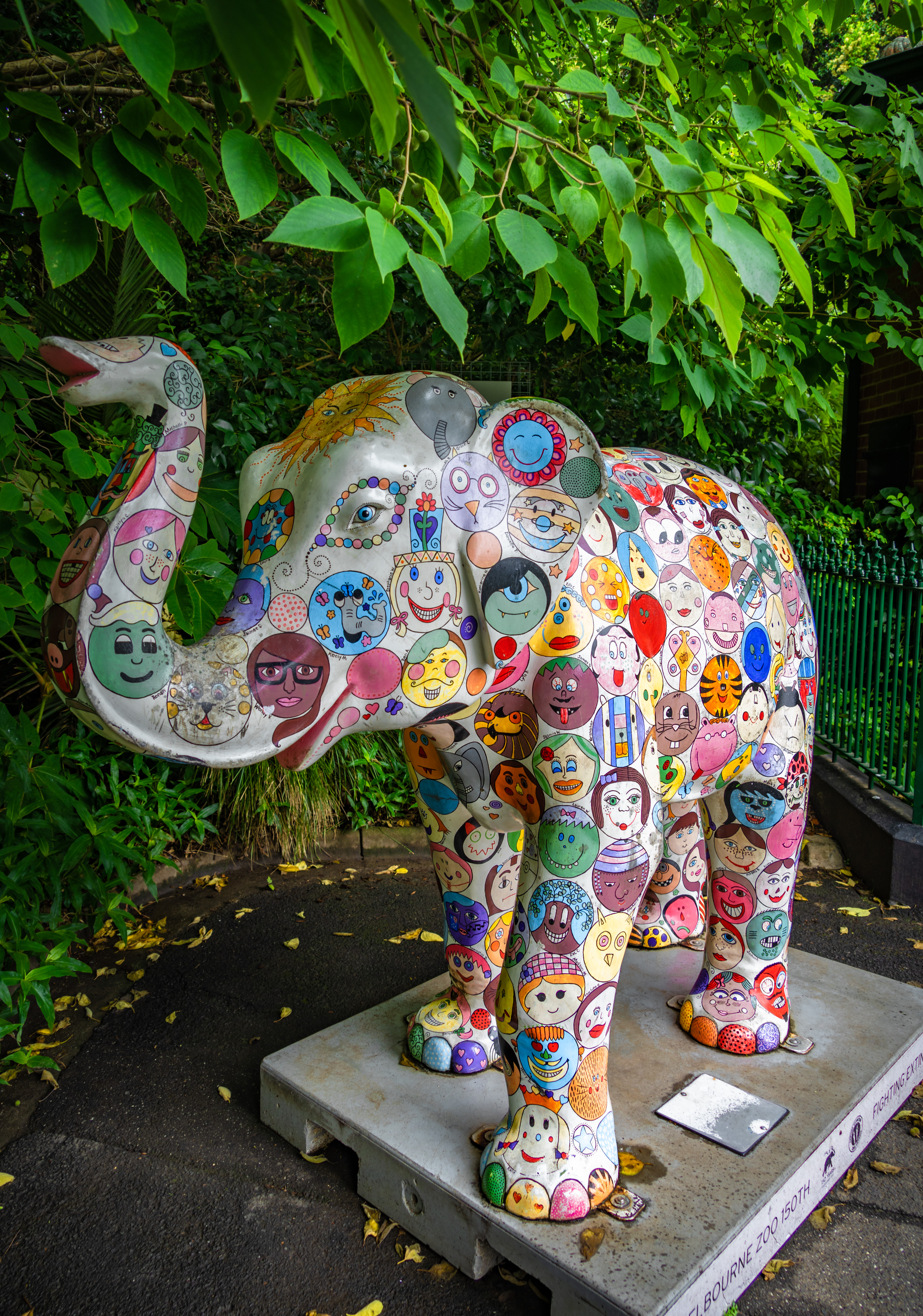 Parkville, Victoria - Australia 'Melbourne Zoo - Day 2' Photographed by Karen Robinson December 2018 Comments - Hubby and I decided to spend another day at the Zoo, this time concentrating on photographing the elephants.
