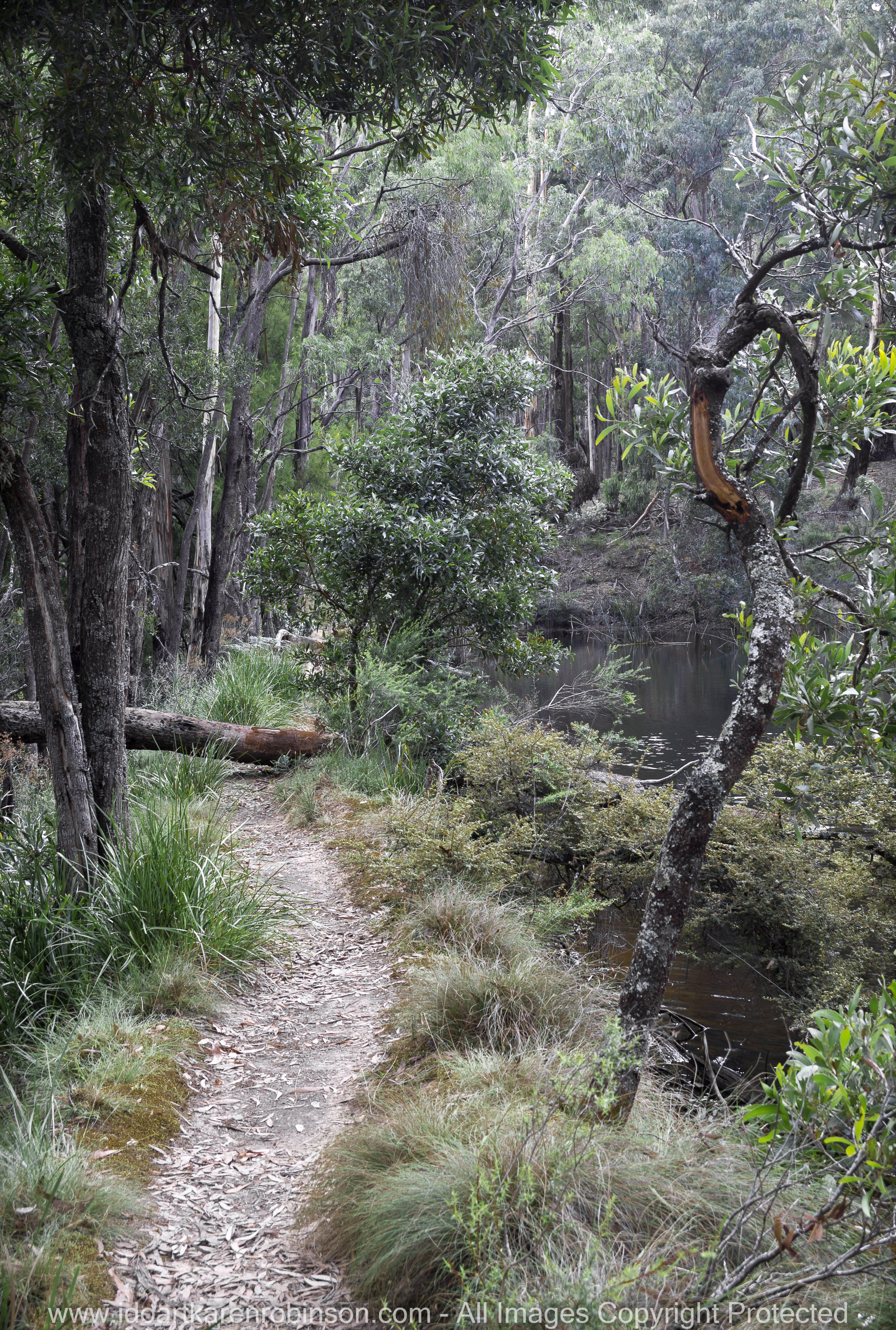Blackwood, Victoria - Australia 'Shaws Lake - Lerderderg'_Photographed by Karen Robinson_www.idoartkarenrobinson.com_Feb 2017