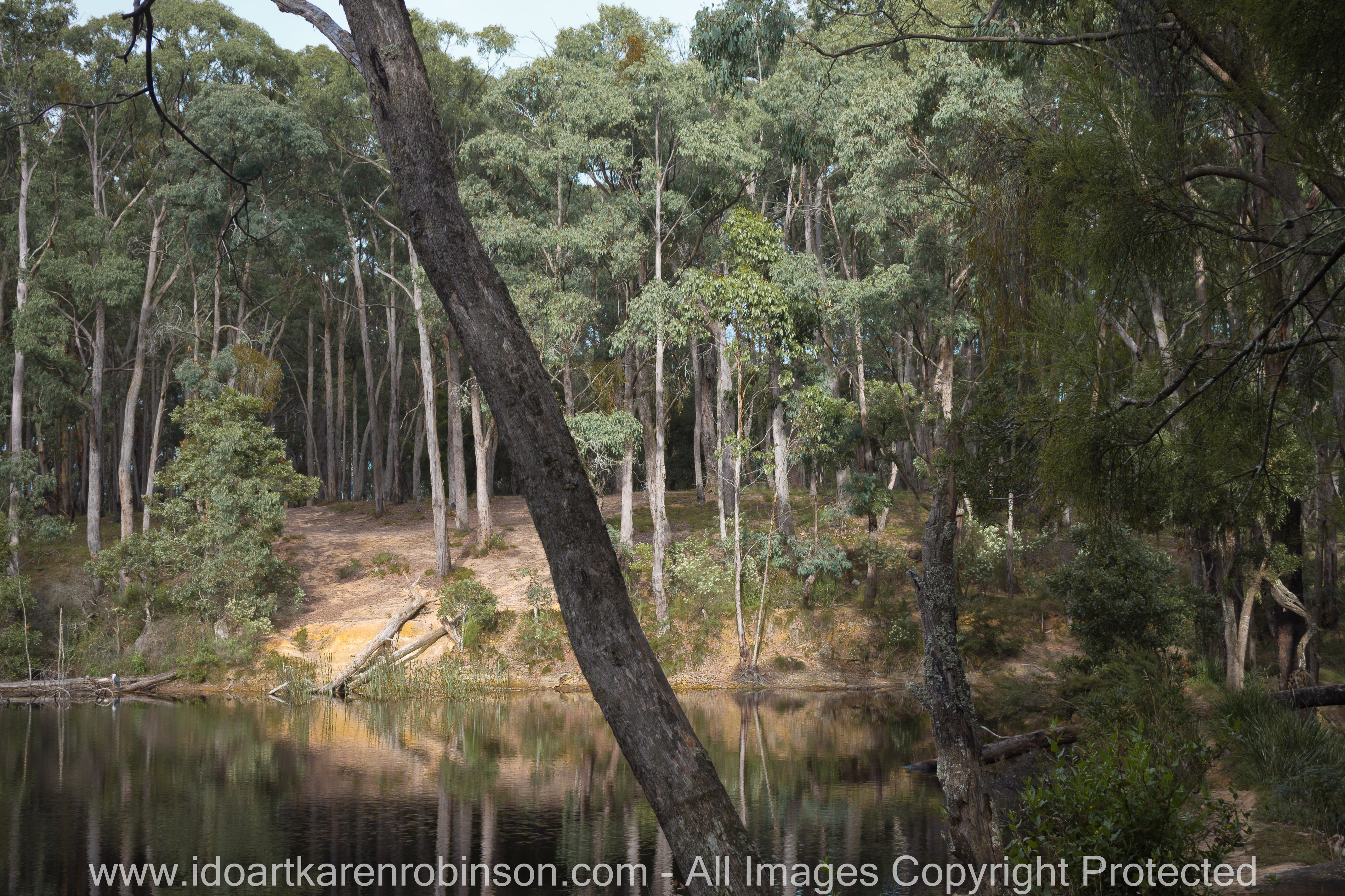 Blackwood, Victoria - Australia 'Shaws Lake - Lerderderg'_Photographed by Karen Robinson_www.idoartkarenrobinson.com_Feb 2017