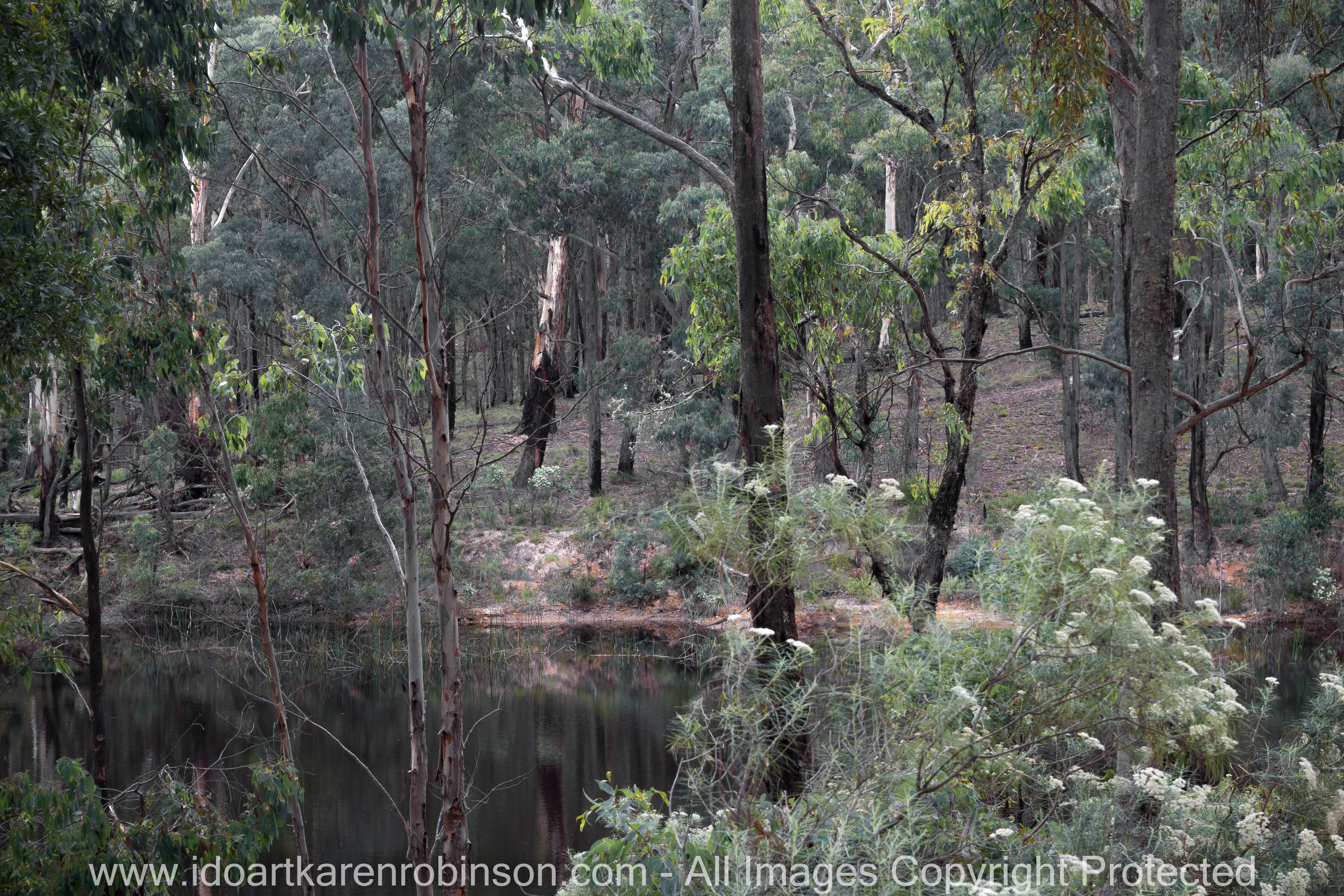 Blackwood, Victoria - Australia 'Shaws Lake - Lerderderg'_Photographed by Karen Robinson_www.idoartkarenrobinson.com_Feb 2017