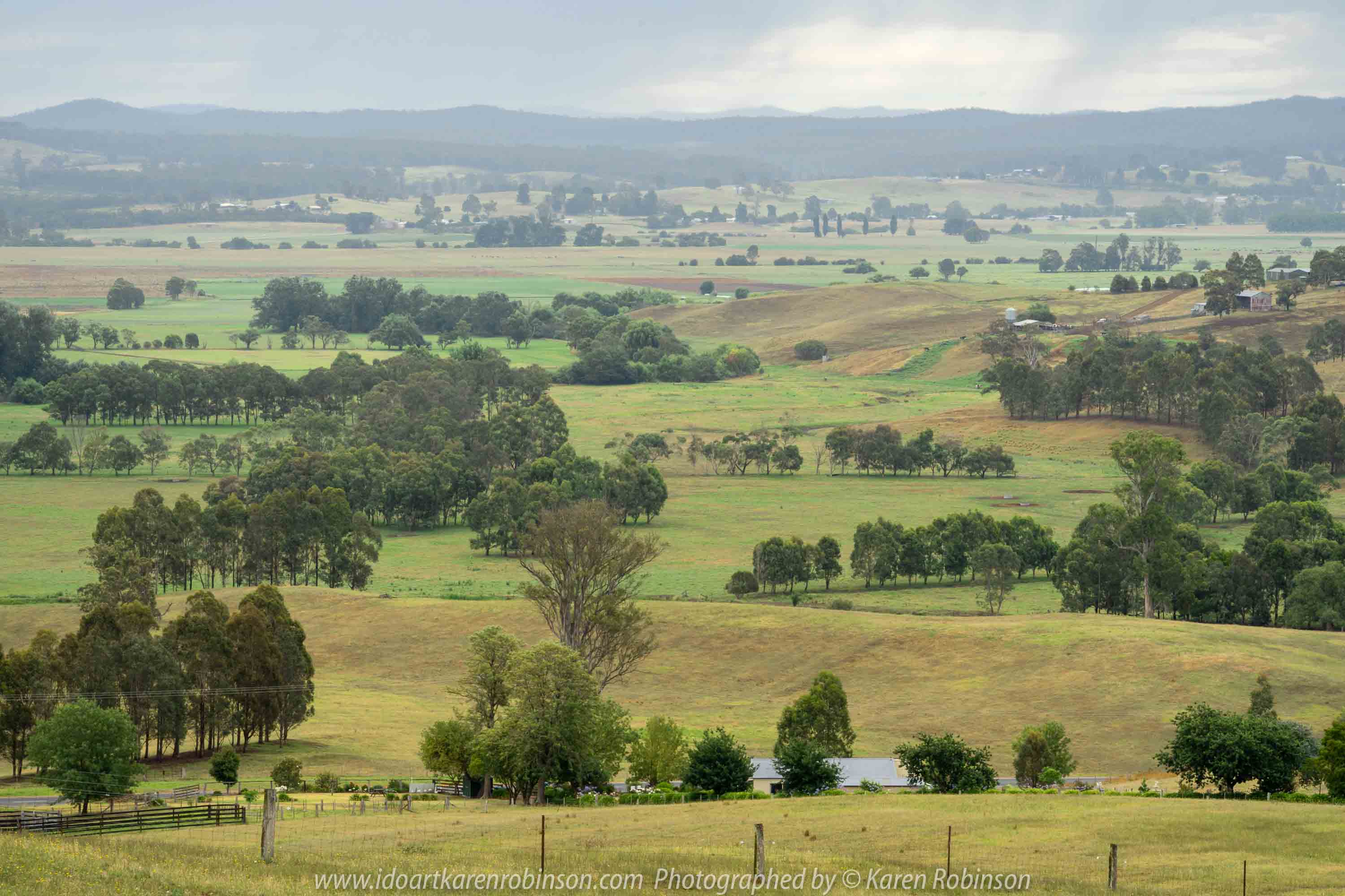 Bruthen, Victoria - Australia 'Wards Road Region' Photographed by Karen Robinson December 2018 Comments - Early morning drive along Wards Road, a back road that winds through beautiful local farming properties.