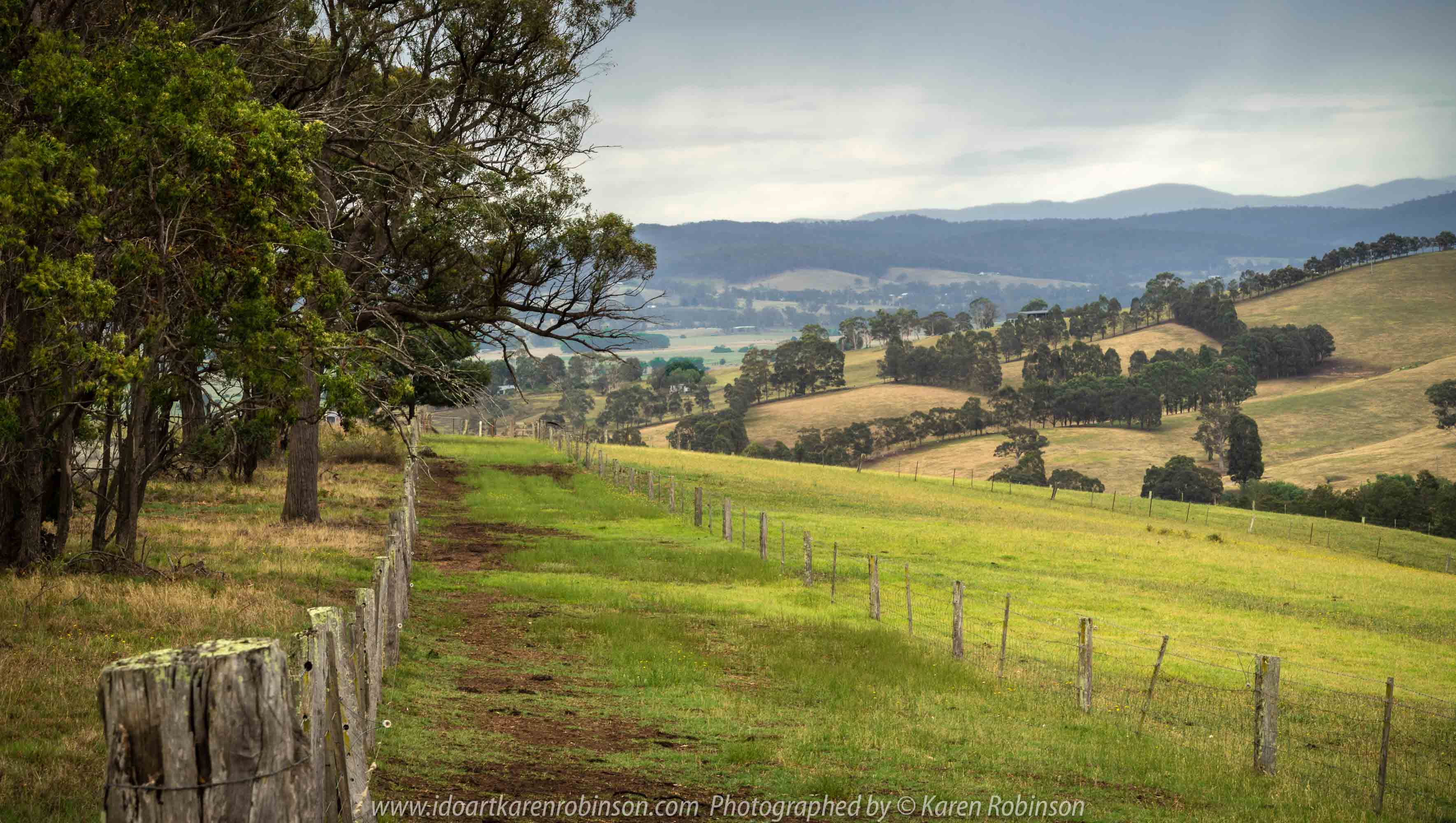 Bruthen, Victoria - Australia 'Wards Road Region' Photographed by Karen Robinson December 2018 Comments - Early morning drive along Wards Road, a back road that winds through beautiful local farming properties.