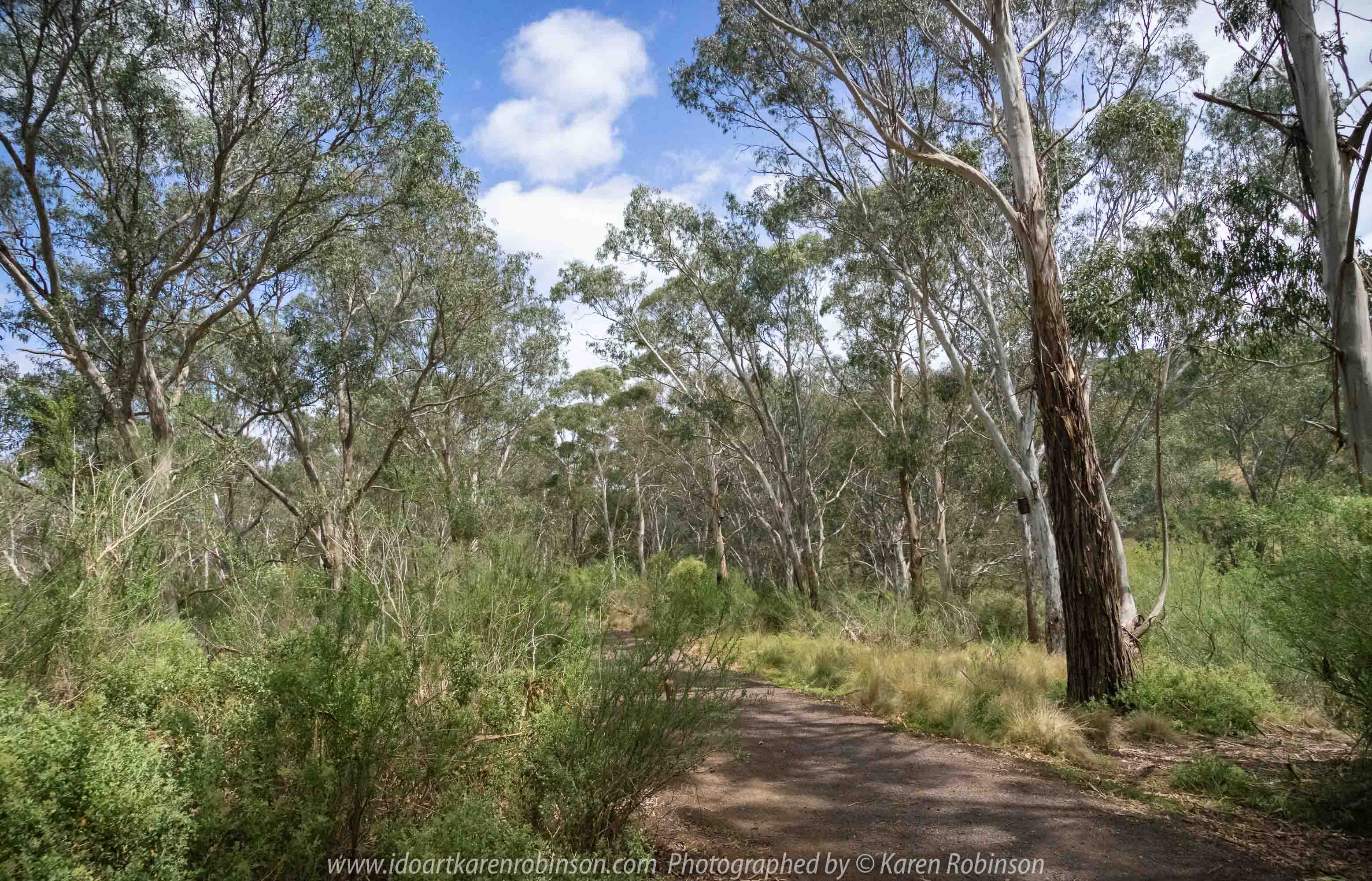Bulla, Victoria - Australia 'Organ Pipes National Park' Photographed by Karen Robinson November 2018 Comments - Overcast with a pleasant bush walking temperature, the National Park provided hubby and I with beautiful nature scenic landscape views and a varying number of birds to photograph. Photograph featuring National Park Bush Track.