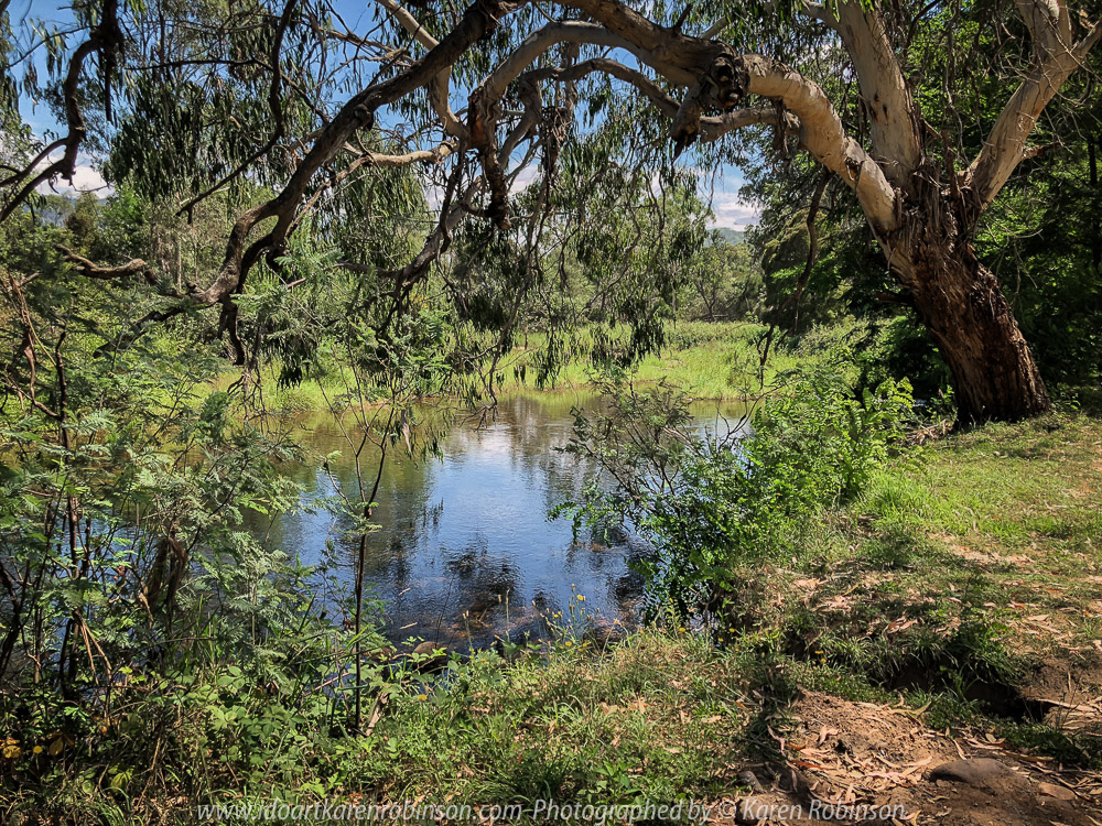Cheshunt, Victoria - Australia 'King River near Hamiltons Bridge' Photographed by Karen Robinson Jan 2018 NB. All images are protected by copyright laws. Comments: A beautiful summer's day around this region taking in the sights of the King River and surrounds Vineyards.