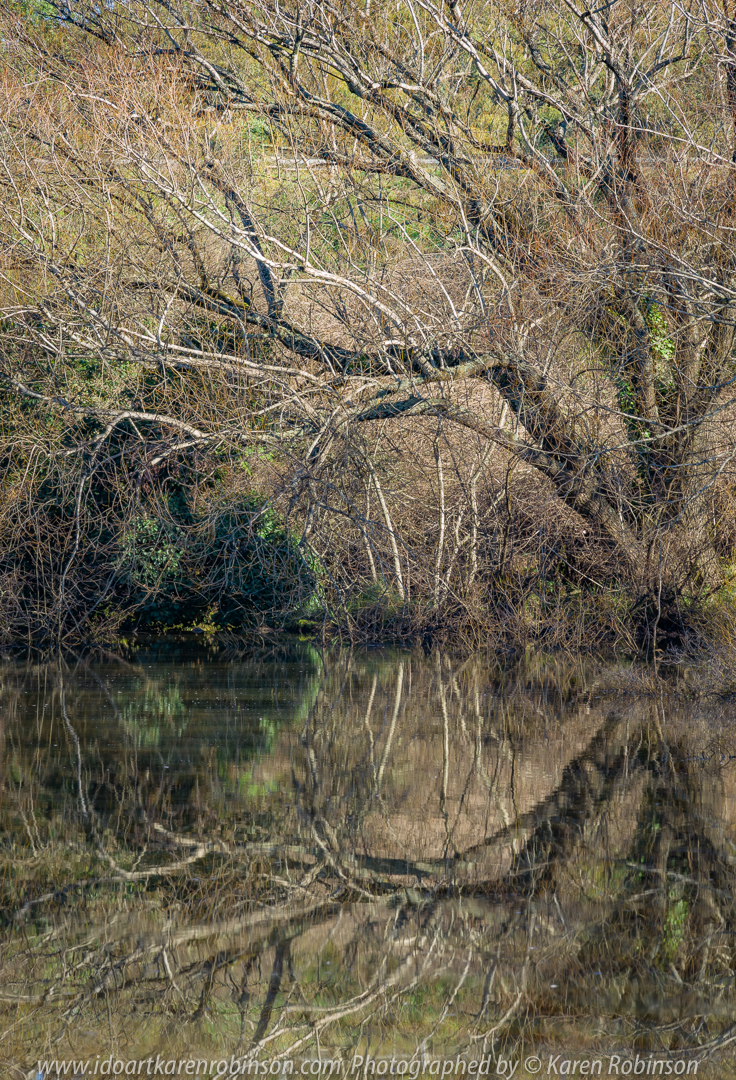 Daylesford, Victoria - Australia 'Lake Daylesford Region' Photographed by Karen Robinson June 2020 Comments - Beautiful Winter day photographing lake reflections.