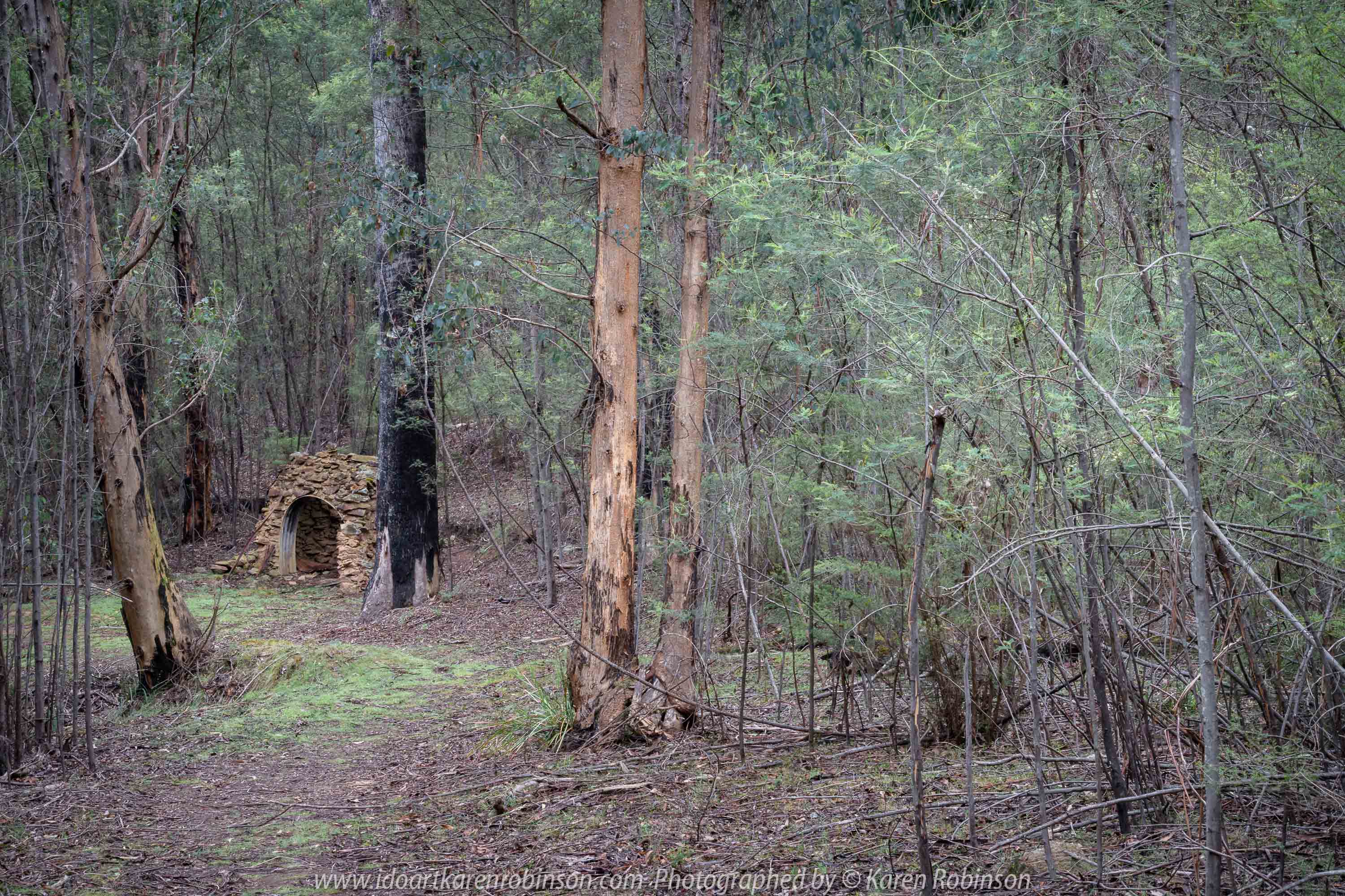 Deptford, Victoria - Australia 'Nicholson River Bush Walk' Photographed by Karen Robinson December 2018 Comments - Hubby, his brother and I took a bush walk alongside of the Nicholson River visiting historic landmarks on our way through Australian bush. Photograph featuring 'Baker's Oven' historical site.