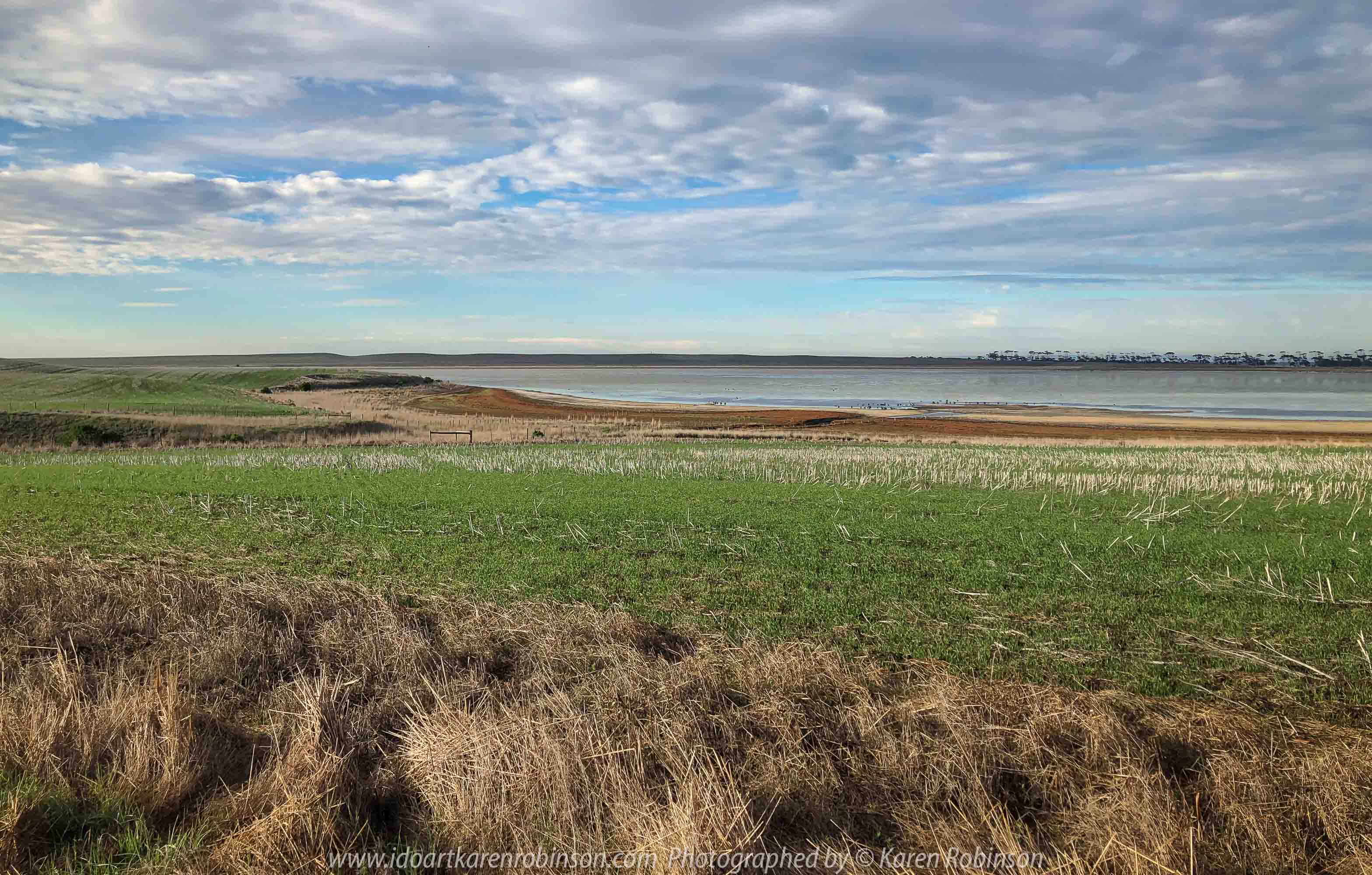 Duverney, Victoria - Australia 'Lake Rosine' Photographed by Karen Robinson June 2019 Comments - Early morning view across Lake Rosine where a mass of Black Swans swam close to its shoreline.