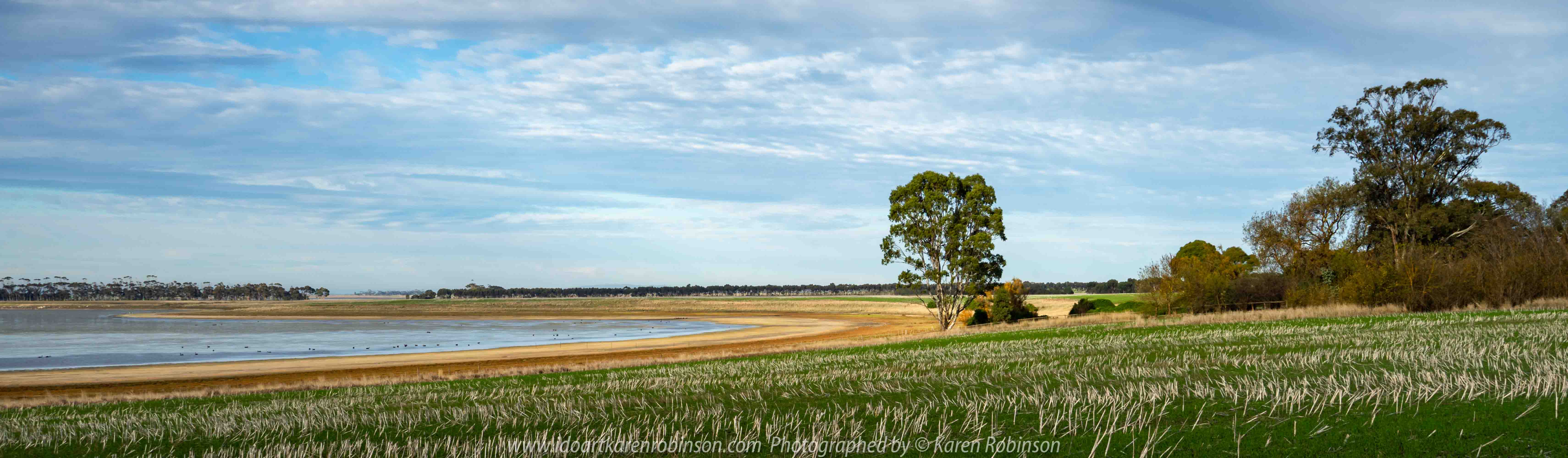 Duverney, Victoria - Australia 'Lake Rosine' Photographed by Karen Robinson June 2019 Comments - Early morning view across Lake Rosine where a mass of Black Swans swam close to its shoreline.