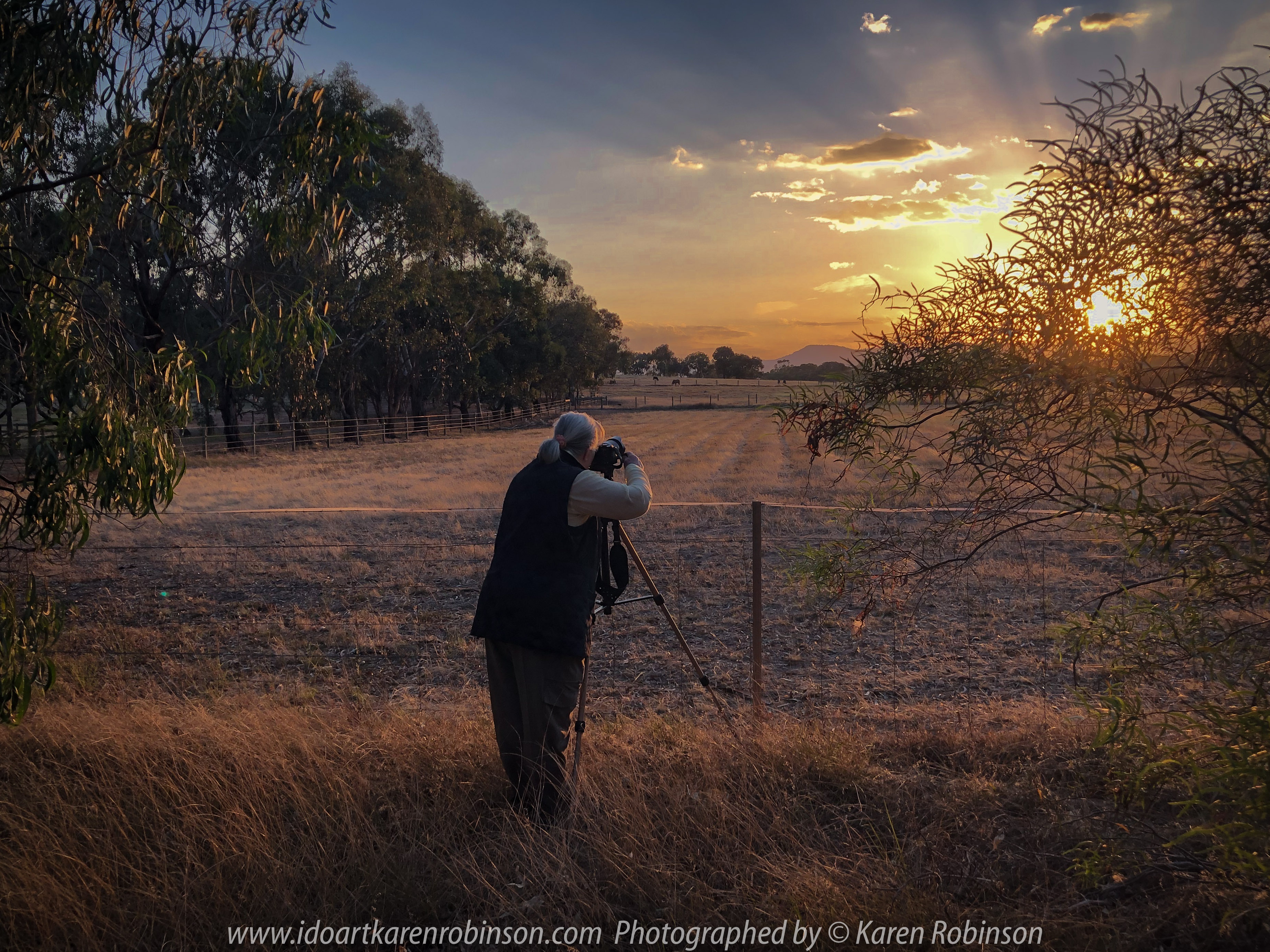 Euroa, Victoria - Australia 'Marylands Property' Photographed by Karen Robinson Jan 2018 www.idoartkarenrobinson.com NB. All images are protected by Copyright laws. Comments: Managed to capture a sunrise on a property called 'Marylands' Euroa, Victoria. The early morning was just beautiful and all that could be heard were the native birds calling out - welcoming a new day! Cattle grazed quietly in the far distance as the dawn sun pushed its way up over the tree-lined crest.