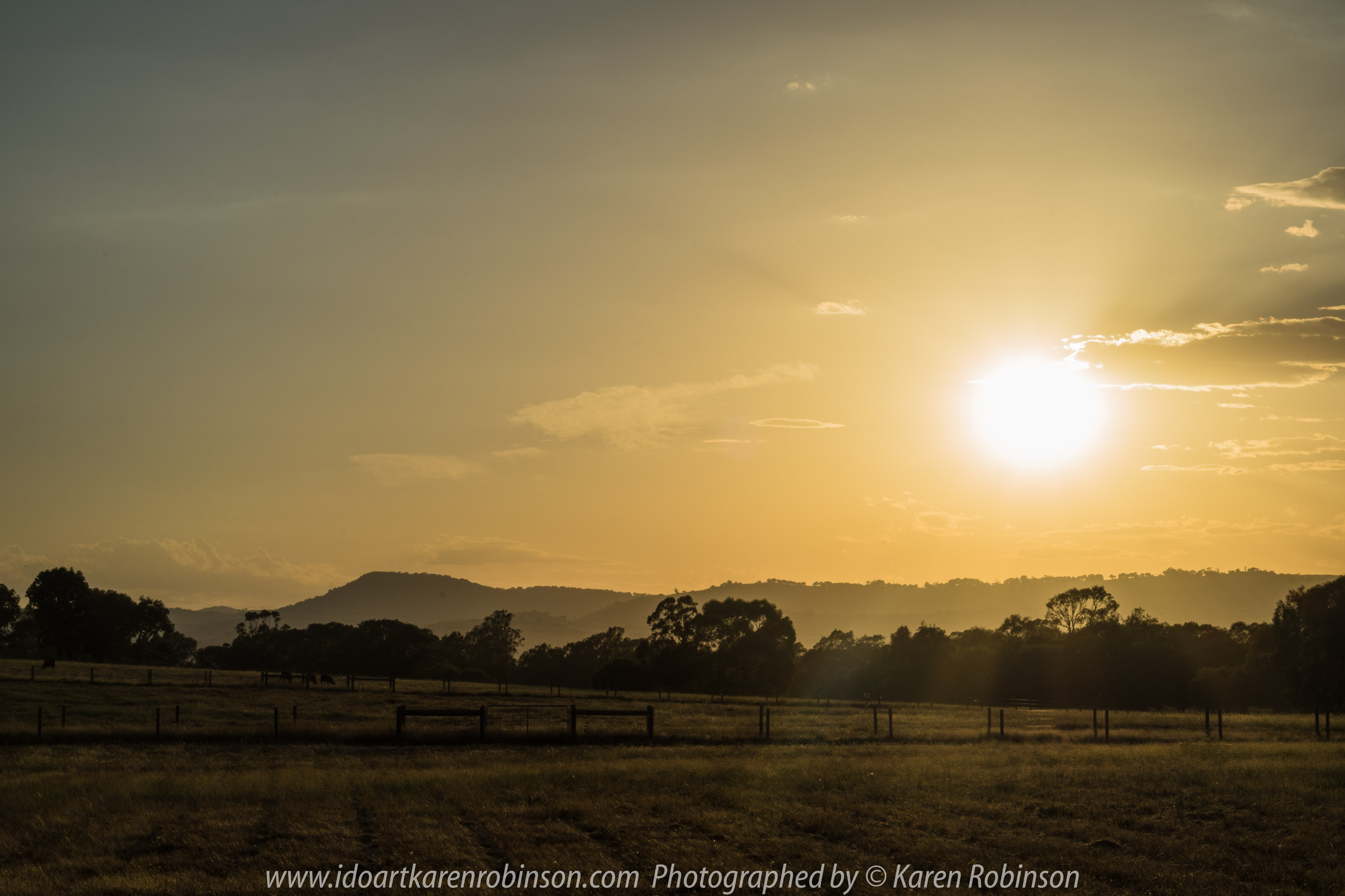 Euroa, Victoria - Australia 'Marylands Property' Photographed by Karen Robinson Jan 2018 www.idoartkarenrobinson.com NB. All images are protected by Copyright laws. Comments: Managed to capture a sunrise on a property called 'Marylands' Euroa, Victoria. The early morning was just beautiful and all that could be heard were the native birds calling out - welcoming a new day! Cattle grazed quietly in the far distance as the dawn sun pushed its way up over the tree-lined crest.