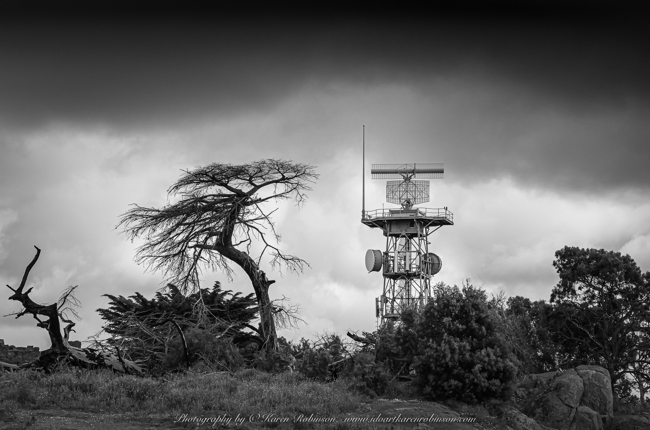 Greenvale, Victoria - Australia 'Woodlands Historic Park Spring' Photographed by ©Karen Robinson September 2021. Comment: Photograph featuring tower at the top of Gellibrand Hill. Image is black and white.