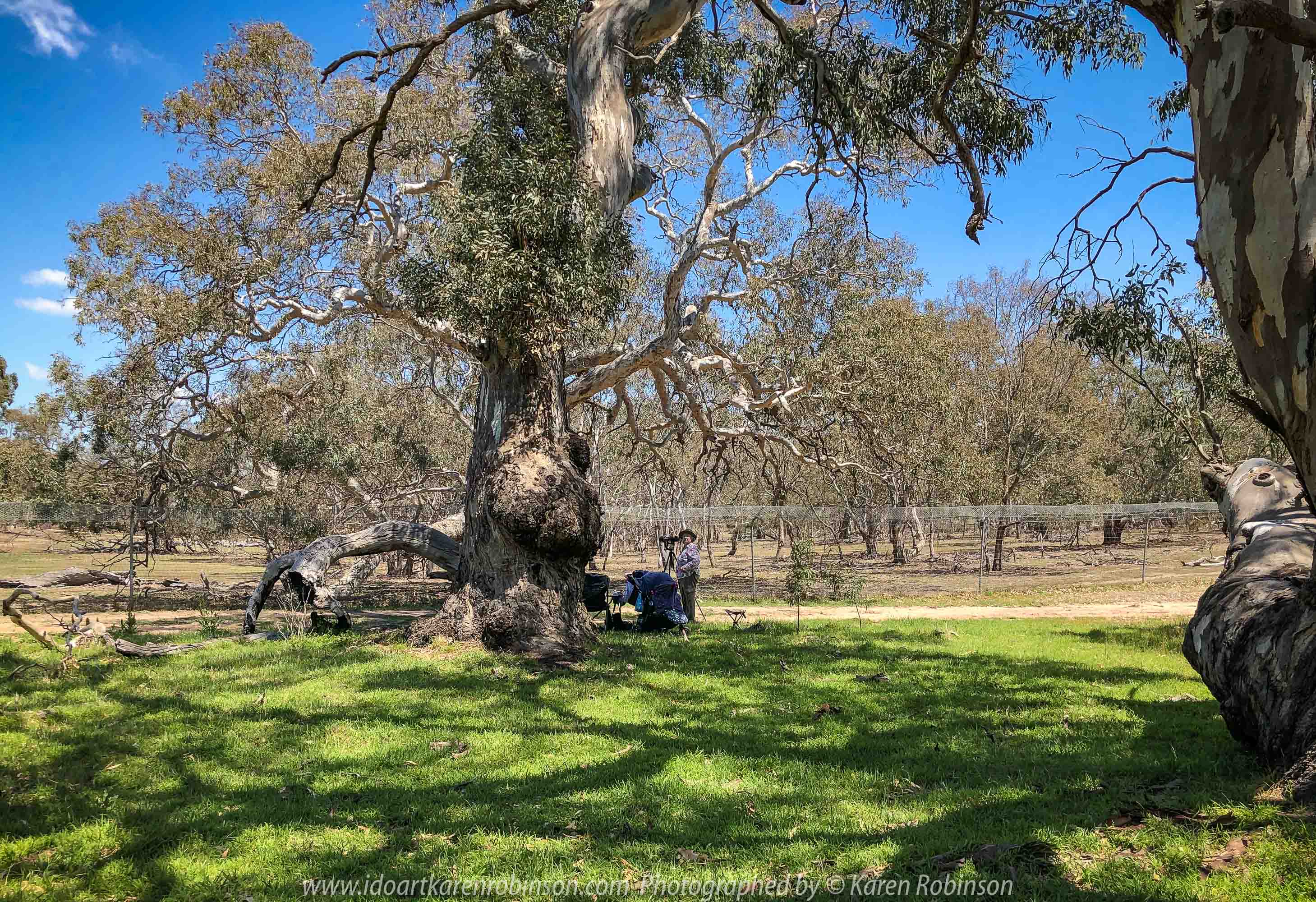 Greenvale, Victoria - Australia 'Day Trip at Woodlands Historic Park' Photographs from Karen Robinson November 2018 Comments - A photography adventure with daughter Kelly, her daughter baby Maddie (our grand daugher) and hubby Mark.