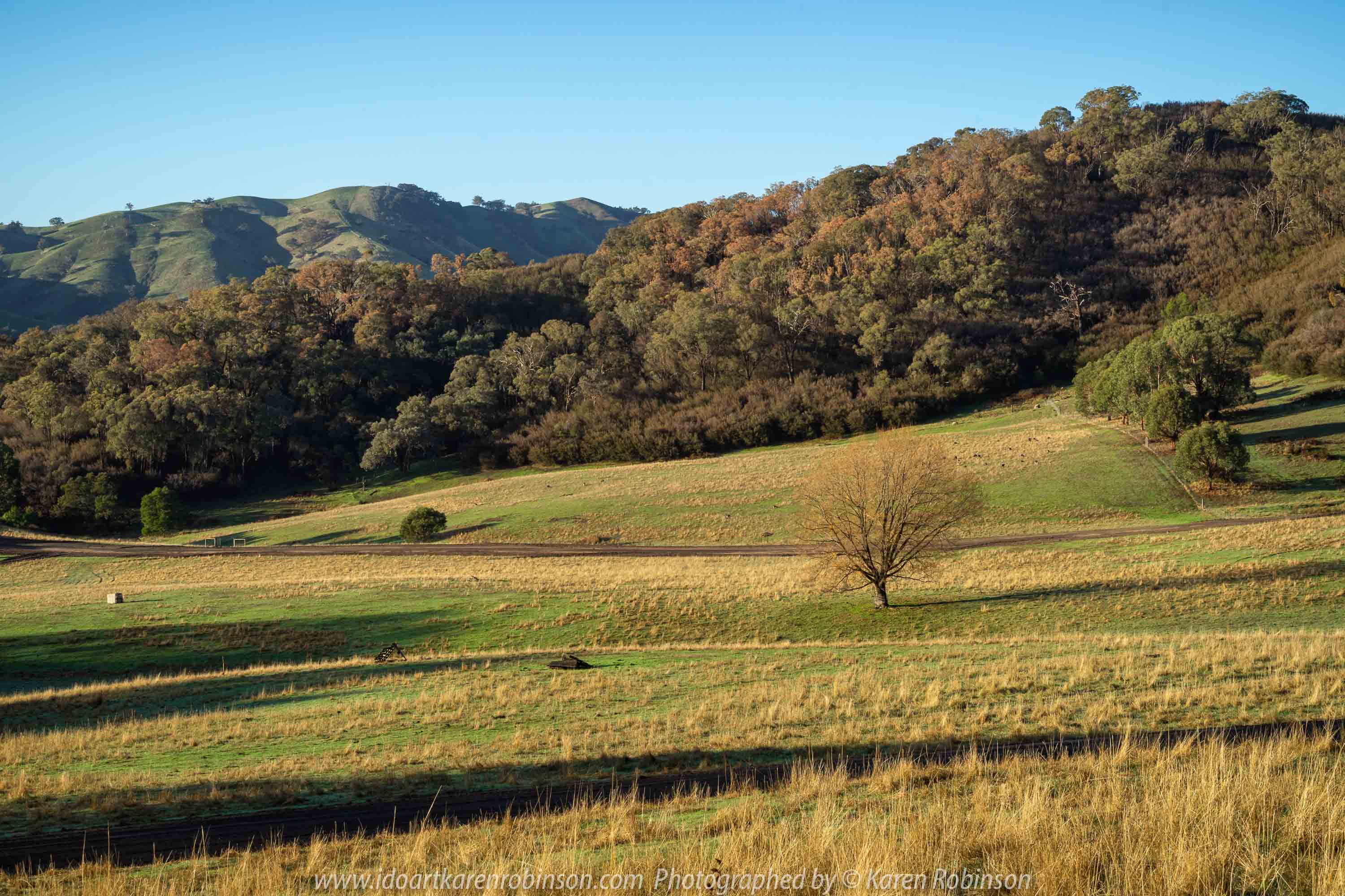 Australia 'Autumn Drive' Photographed by Karen Robinson May 2019 Comments: Early morning photography adventure to this region and finding beautiful morning sunrise panoramic views.