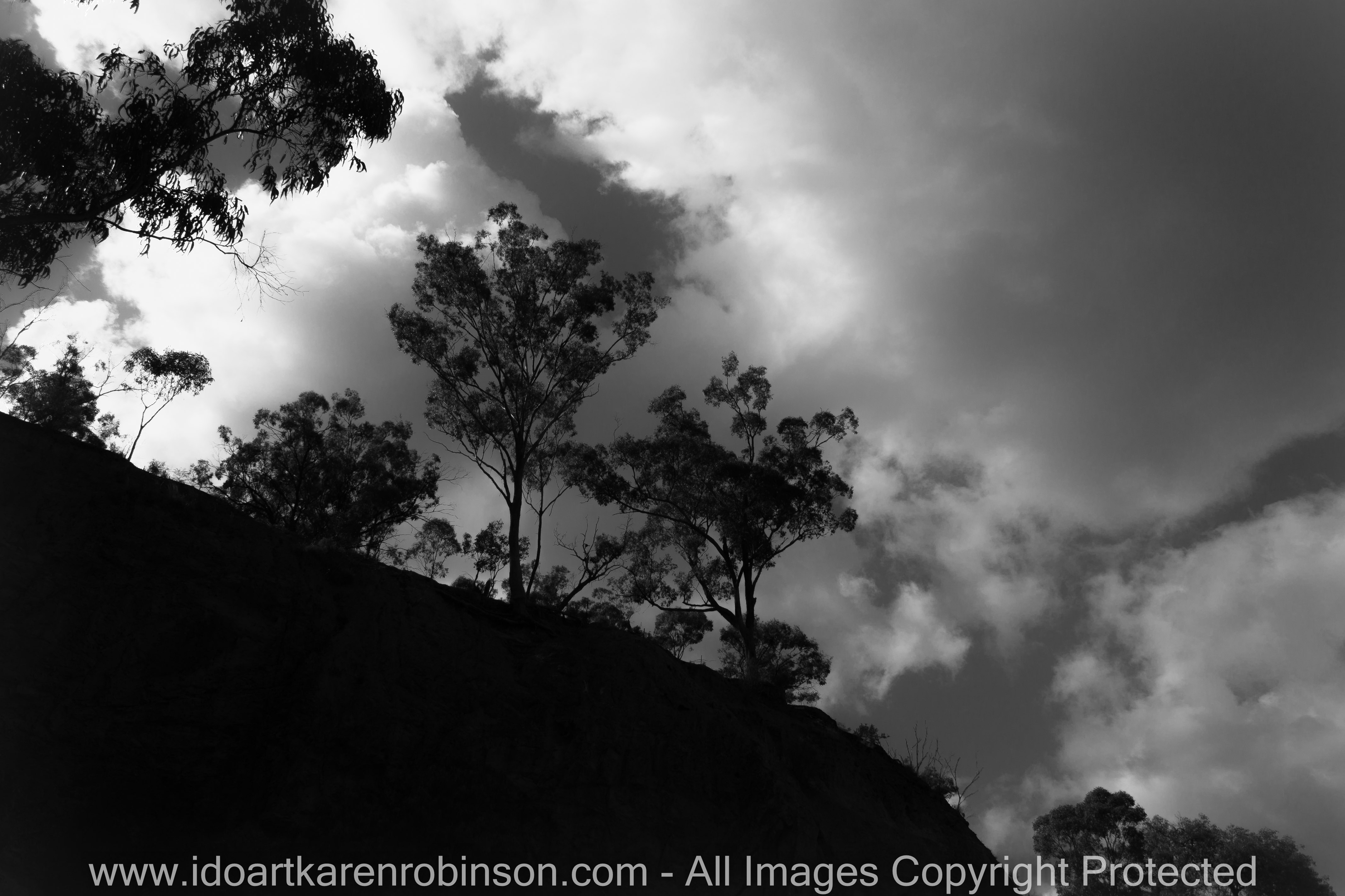 Lerderderg, Victoria - Australia 'Mackenzies Flat Picnic Area - Lerderderg State Forest'_Photographed by ©Karen Robinson_www.idoartkarenrobinson.com - Feb 2017