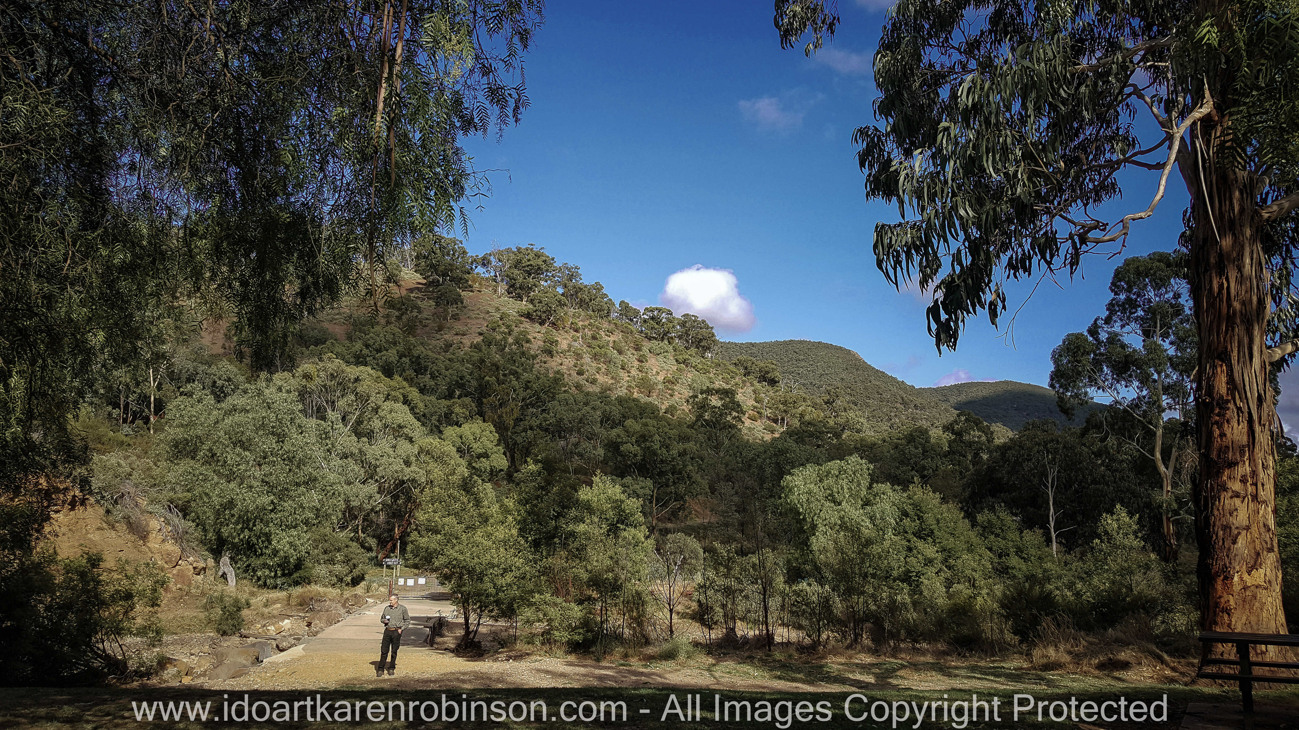 Lerderderg, Victoria - Australia 'Mackenzies Flat Picnic Area - Lerderderg State Forest'_Mark, Karen's husband standing in front of the walk over Lerderderg bridge _Photographed by ©Karen Robinson_www.idoartkarenrobinson.com - Feb 2017