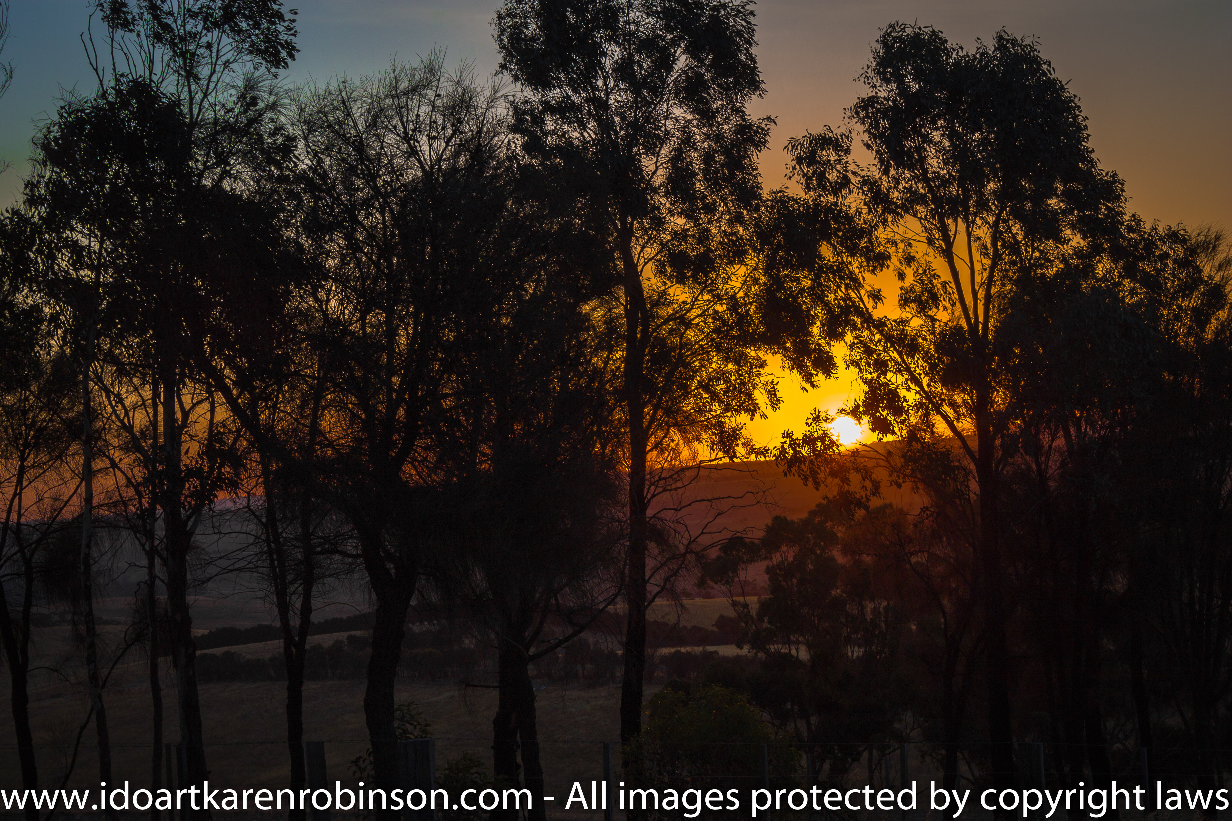 Mickleham - Farmland - photographed by ©Karen Robinson