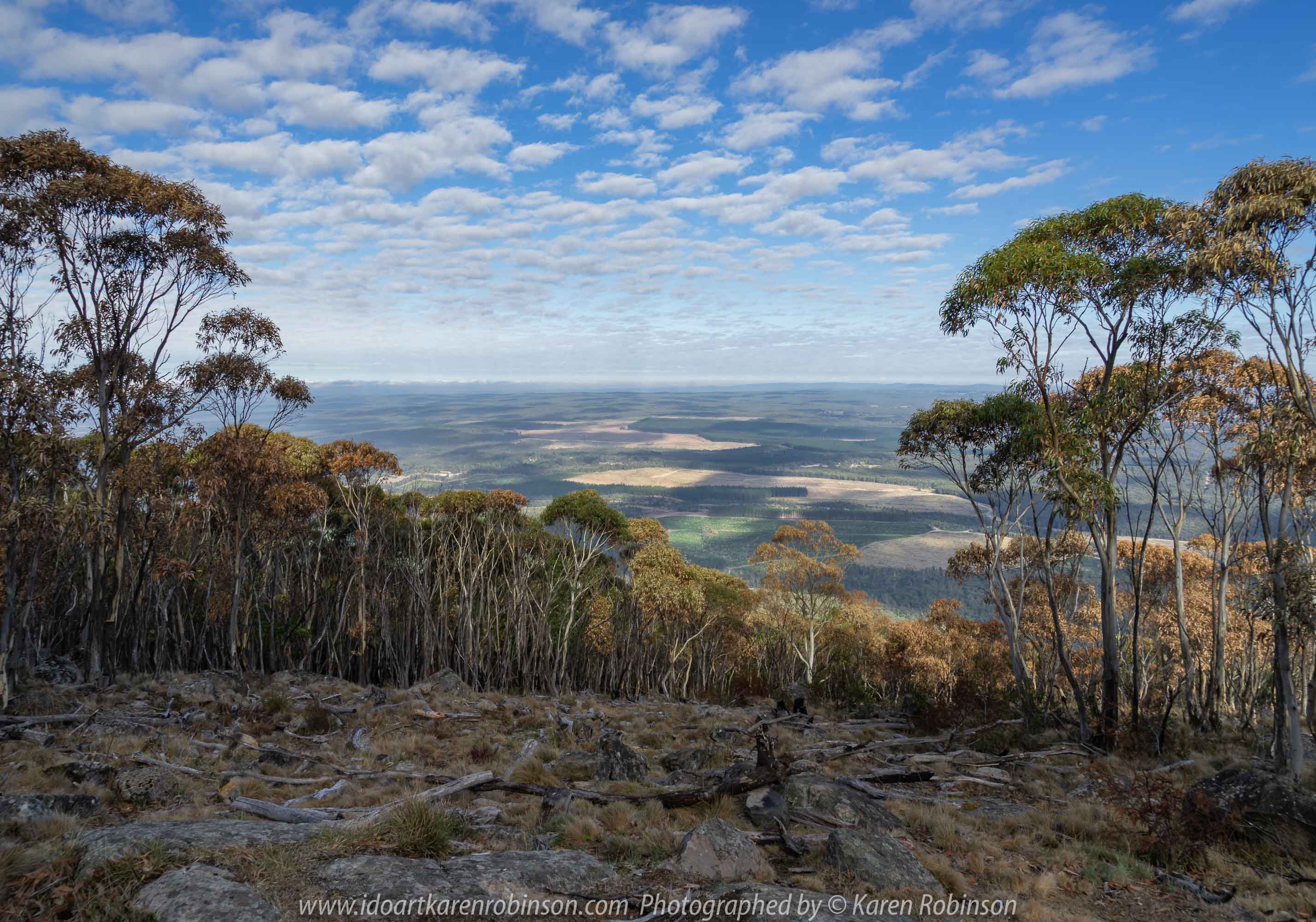Mount Macedon, Victoria - Australia 'Duneira Heritage Garden' Photographed by Karen Robinson April 2019 Comments - A beautiful Autumn day with hubby at these magnificent gardens where tall trees are the dominating feature. Photograph featuring view from Major Mitchell Lookout.