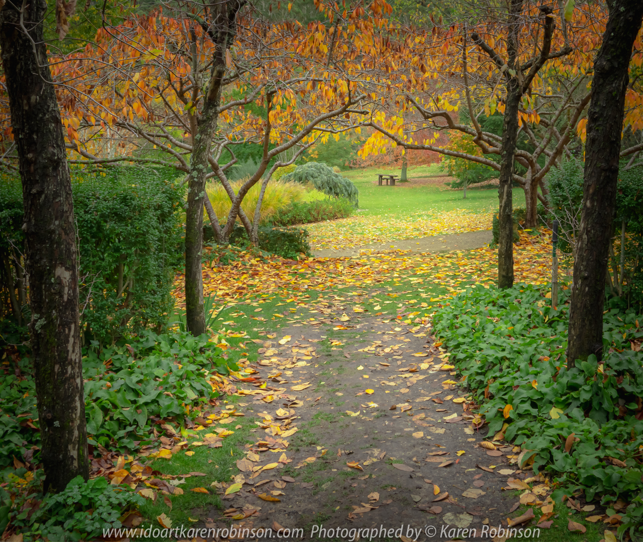 Mount Macedon - Victoria - Australia 'Gardens Of Tieve Tara' Photographed by Karen Robinson May 2018 NB. All images are protected by copyright laws. Comments - A grey, cold Autumn day spent photographing these beautiful, picturesque gardens consisting of 7.5 acres of lush grounds, a whimsical playground, lakes, geese and fountains with hubby.