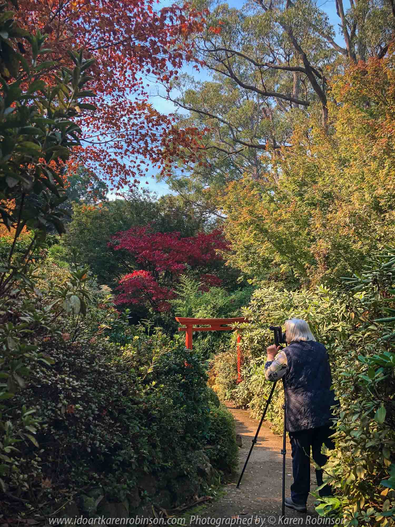 Mount Macedon, Victoria - Australia 'Forest Glade Gardens' Photographed by Karen Robinson May 2019 Comments - Autumn visit to one of Australia's most beautiful private gardens.