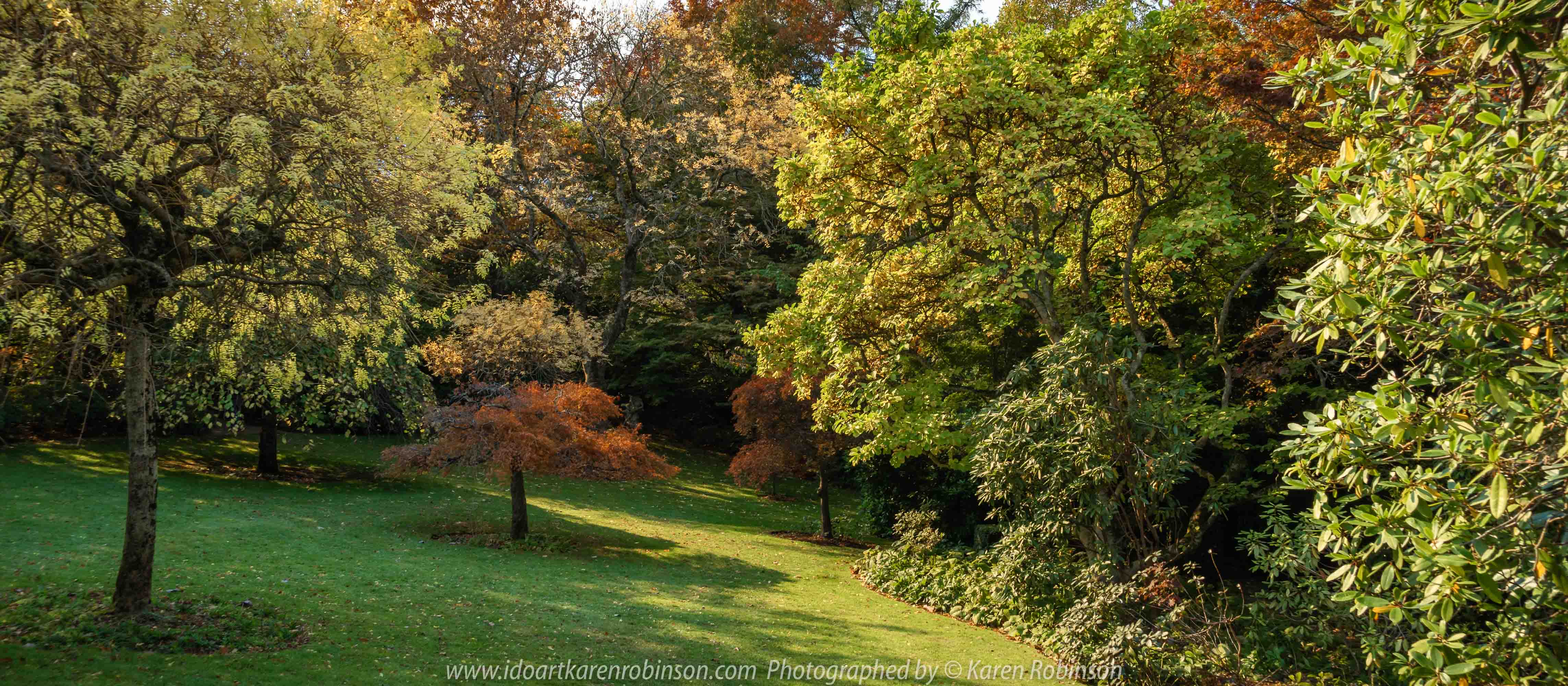 Victoria - Australia 'Forest Glade Gardens' Photographed by Karen Robinson May 2019 Comments - Autumn visit to one of Australia's most beautiful private gardens.