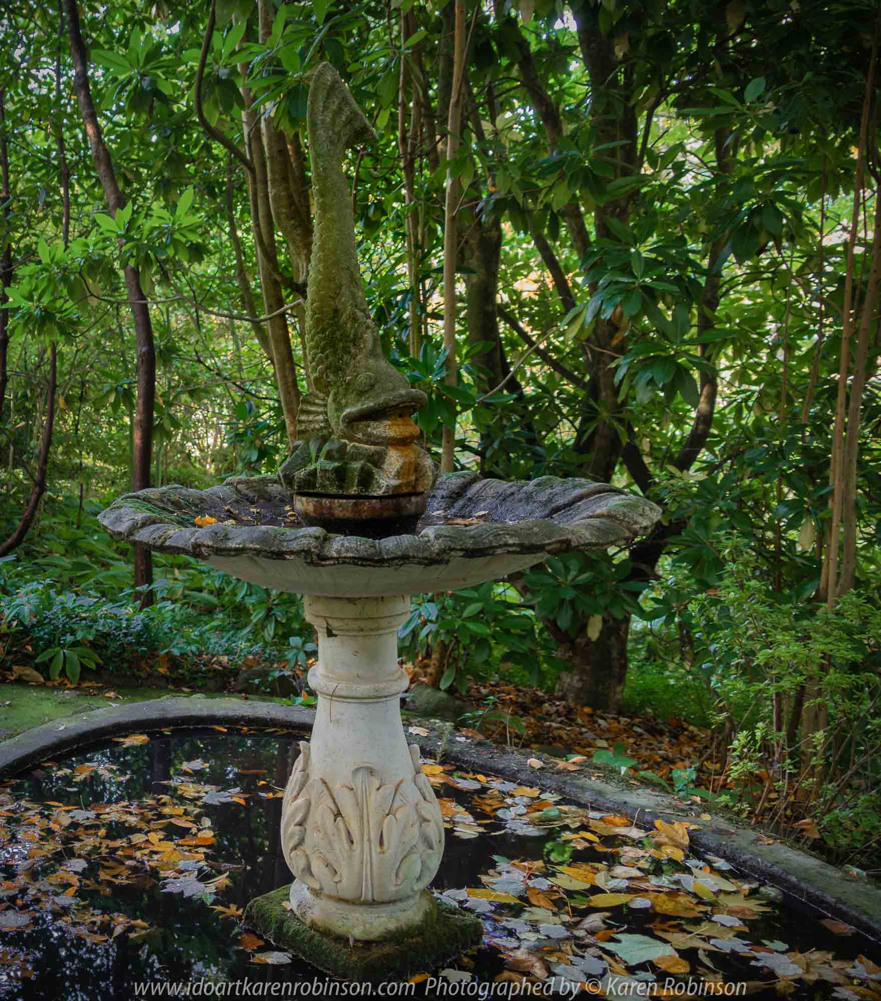 Mount Macedon, Victoria - Australia 'Forest Glade Gardens' Photographed by Karen Robinson May 2019 Comments - Autumn visit to one of Australia's most beautiful private gardens.