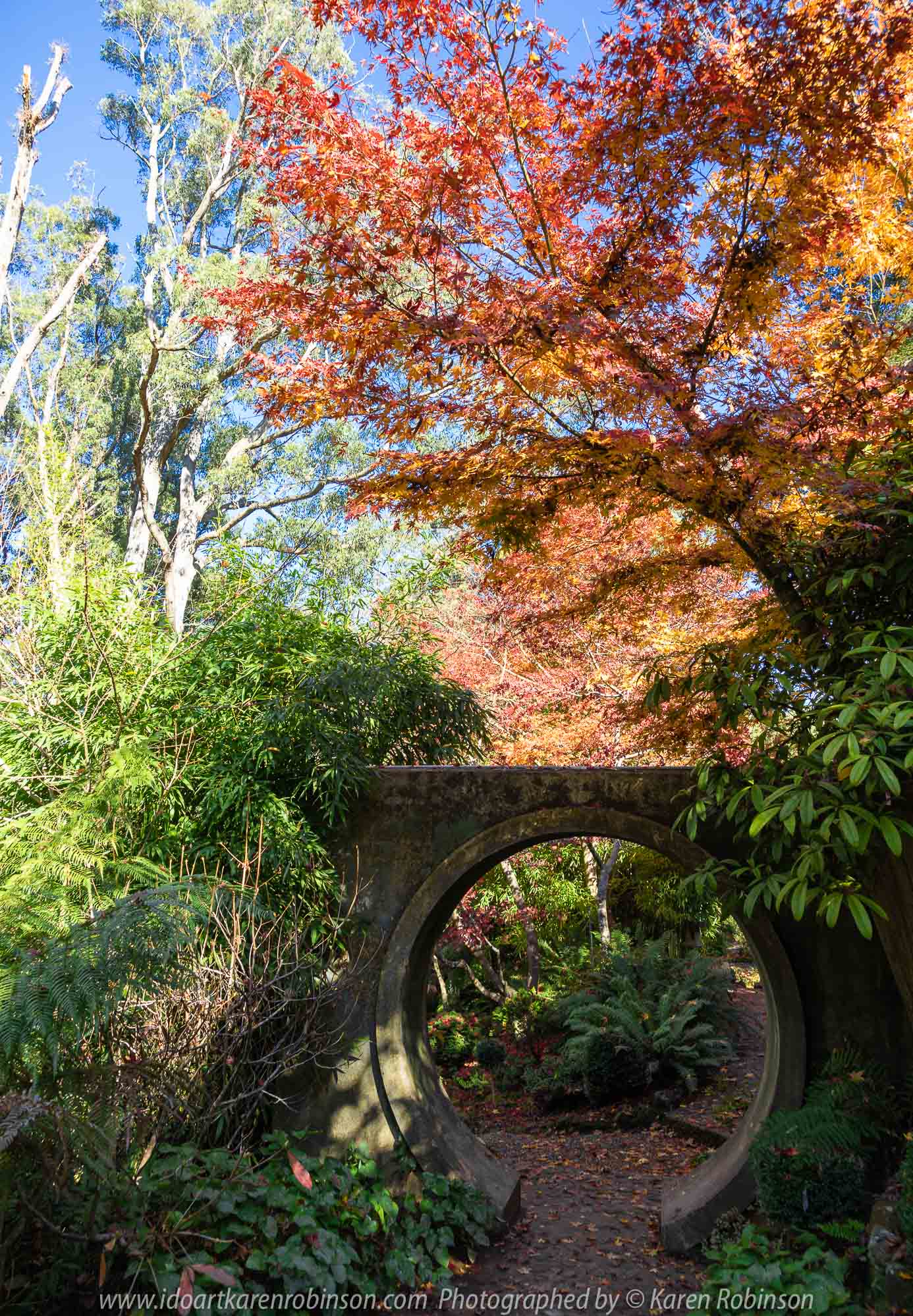 Victoria - Australia 'Forest Glade Gardens' Photographed by Karen Robinson May 2019 Comments - Autumn visit to one of Australia's most beautiful private gardens.