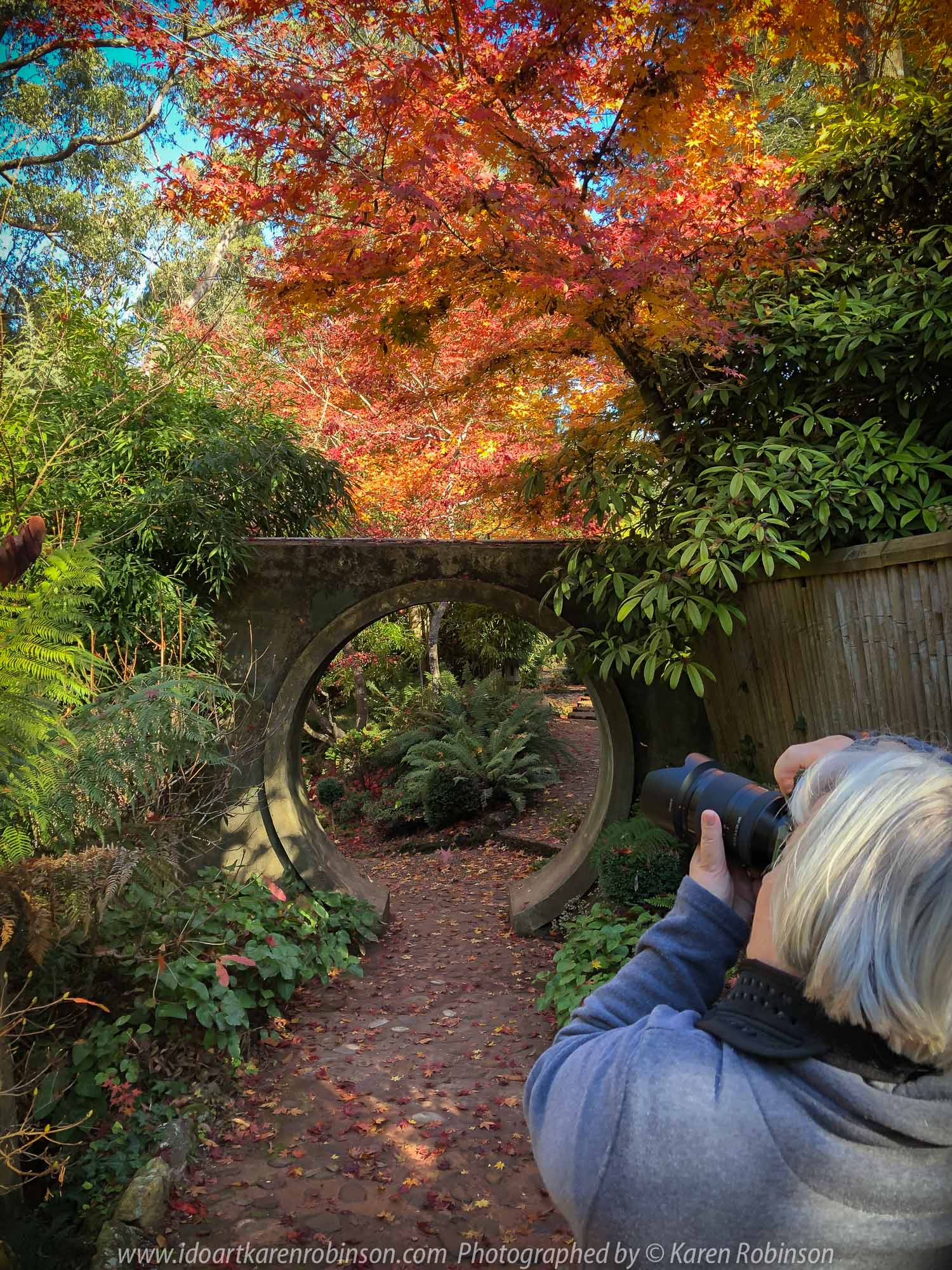 Victoria - Australia 'Forest Glade Gardens' Photographed by Karen Robinson May 2019 Comments - Autumn visit to one of Australia's most beautiful private gardens.