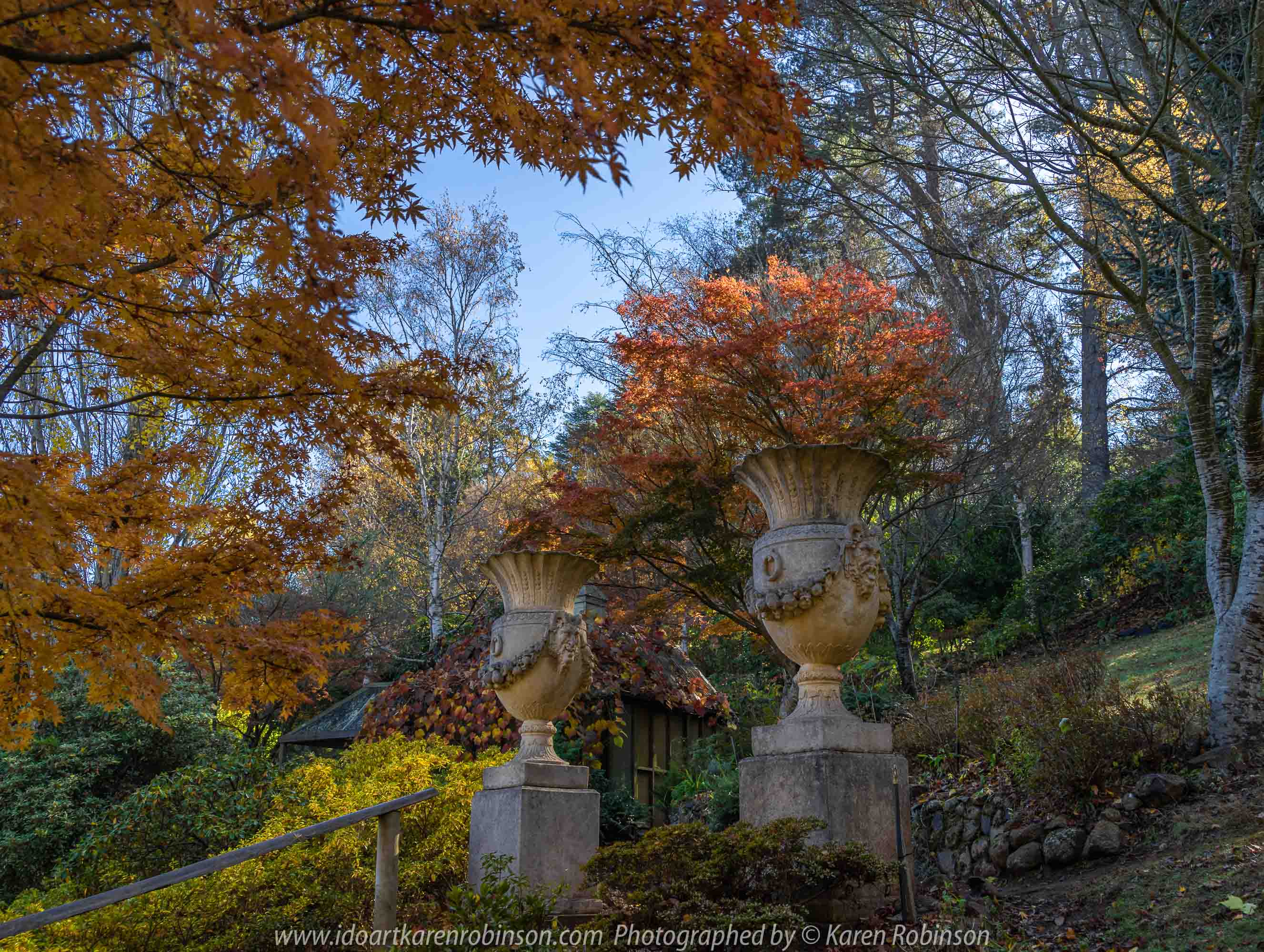 Mount Macedon, Victoria - Australia 'Forest Glade Gardens' Photographed by Karen Robinson May 2019 Comments - Autumn visit to one of Australia's most beautiful private gardens.