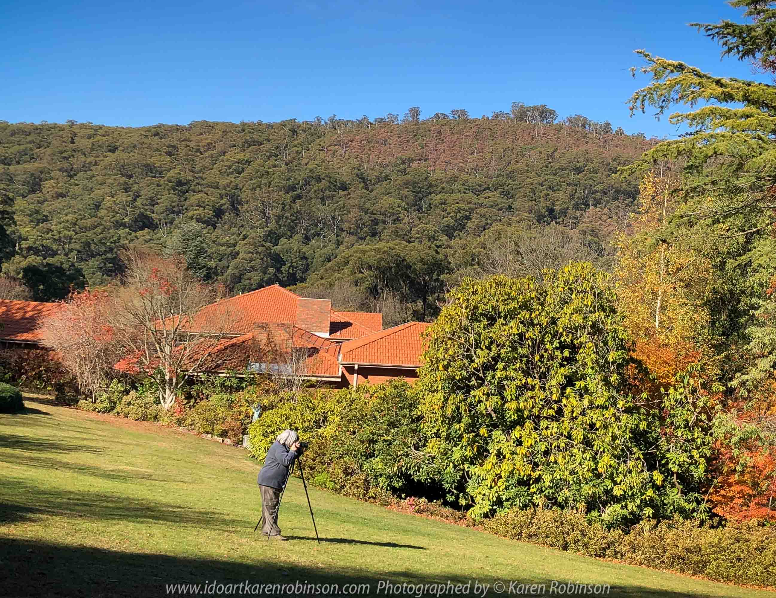Victoria - Australia 'Forest Glade Gardens' Photographed by Karen Robinson May 2019 Comments - Autumn visit to one of Australia's most beautiful private gardens.