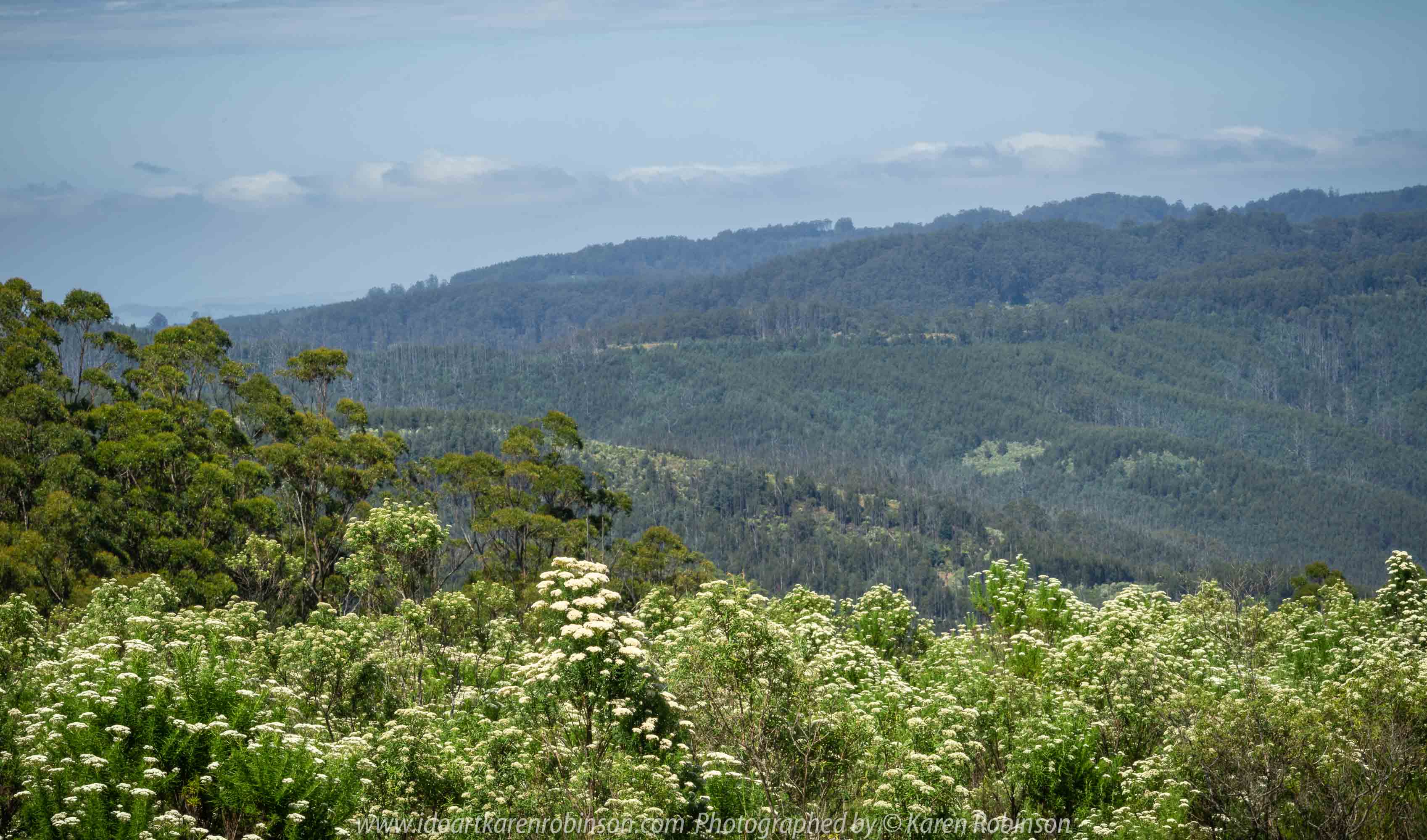Mount Tassie, Victoria - Australia 'Panoramic Views' Photographed by Karen Robinson December 2018 Comments - Glorious expansive views.