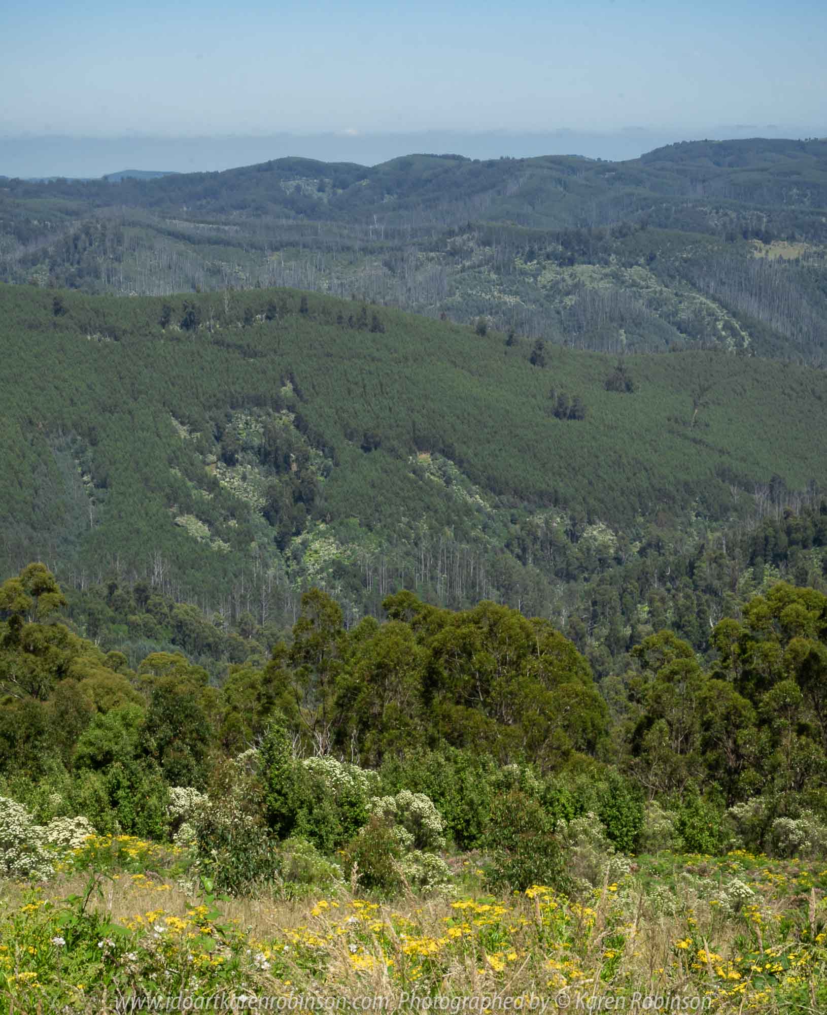 Mount Tassie, Victoria - Australia 'Panoramic Views' Photographed by Karen Robinson December 2018 Comments - Glorious expansive views.