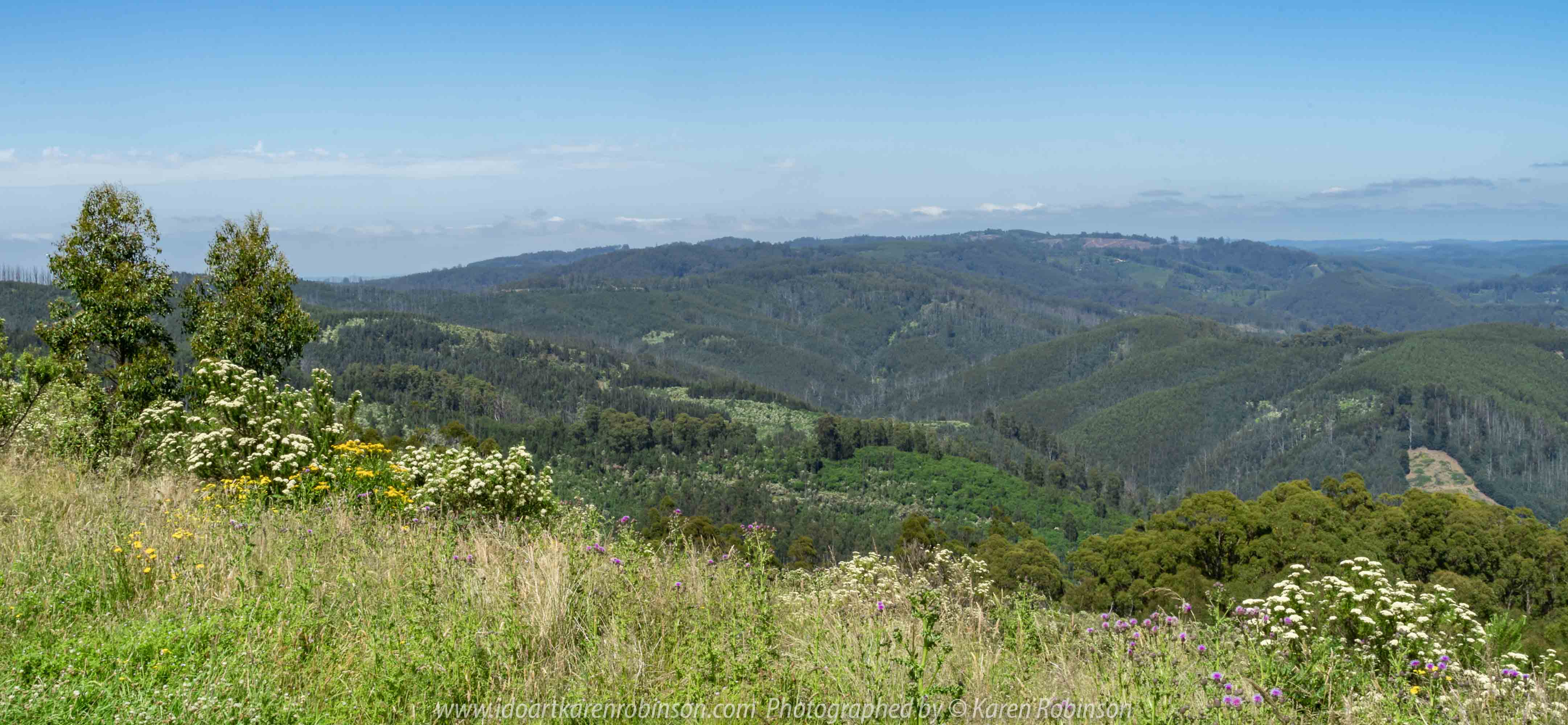 Mount Tassie, Victoria - Australia 'Panoramic Views' Photographed by Karen Robinson December 2018 Comments - Glorious expansive views.
