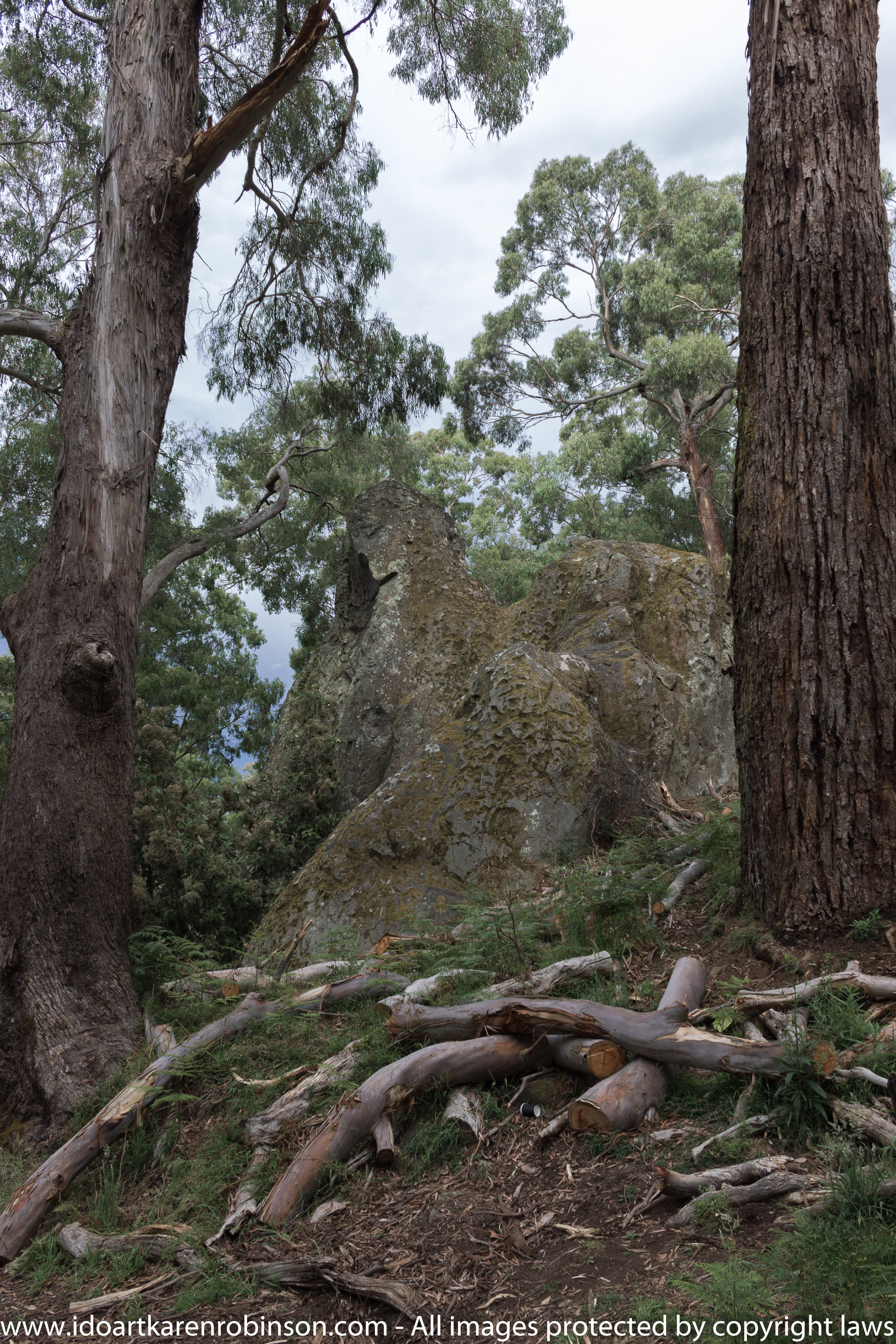 Karen took photos around and on Hanging Rock. Accompanied by her husband on the day. Wonderful rock formations, natural Australian bush, native life and expansive scenic views from the top of Hanging Rock itself.