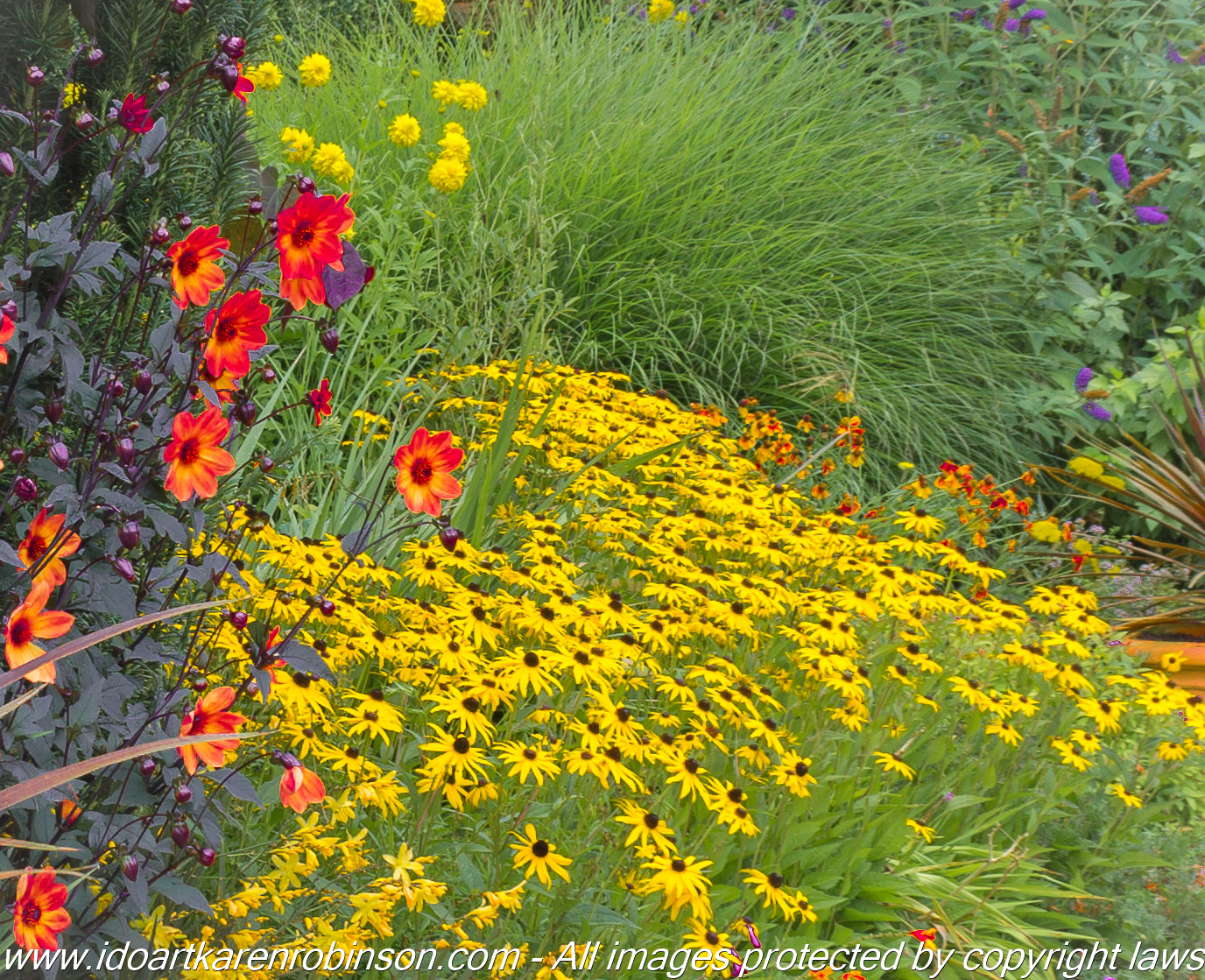Olinda, Victoria – Australia. Cloudehill Gardens Photographed by ©Karen Robinson www.idoartkarenrobinson.com Feb 2017.