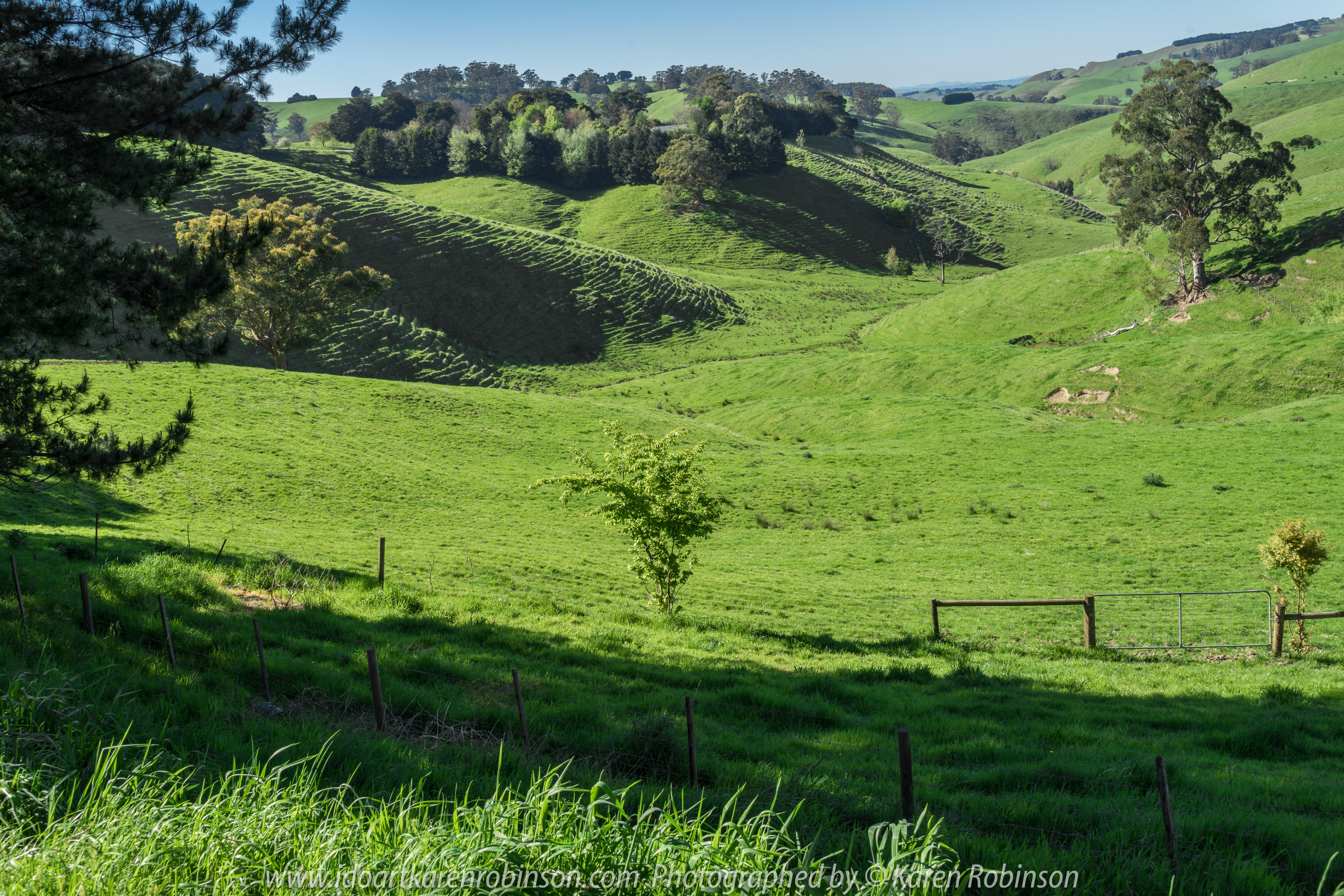 Seaview Region, Melbourne - Australia "Grand Ridge Road Region" Photographed by Karen Robinson NB Copyright Protected_ www.idoartkarenrobinson.com October 17, 2017. NB: Day trip with hubby to visit this beautiful region at its best when all is green before the summer turns it brown.