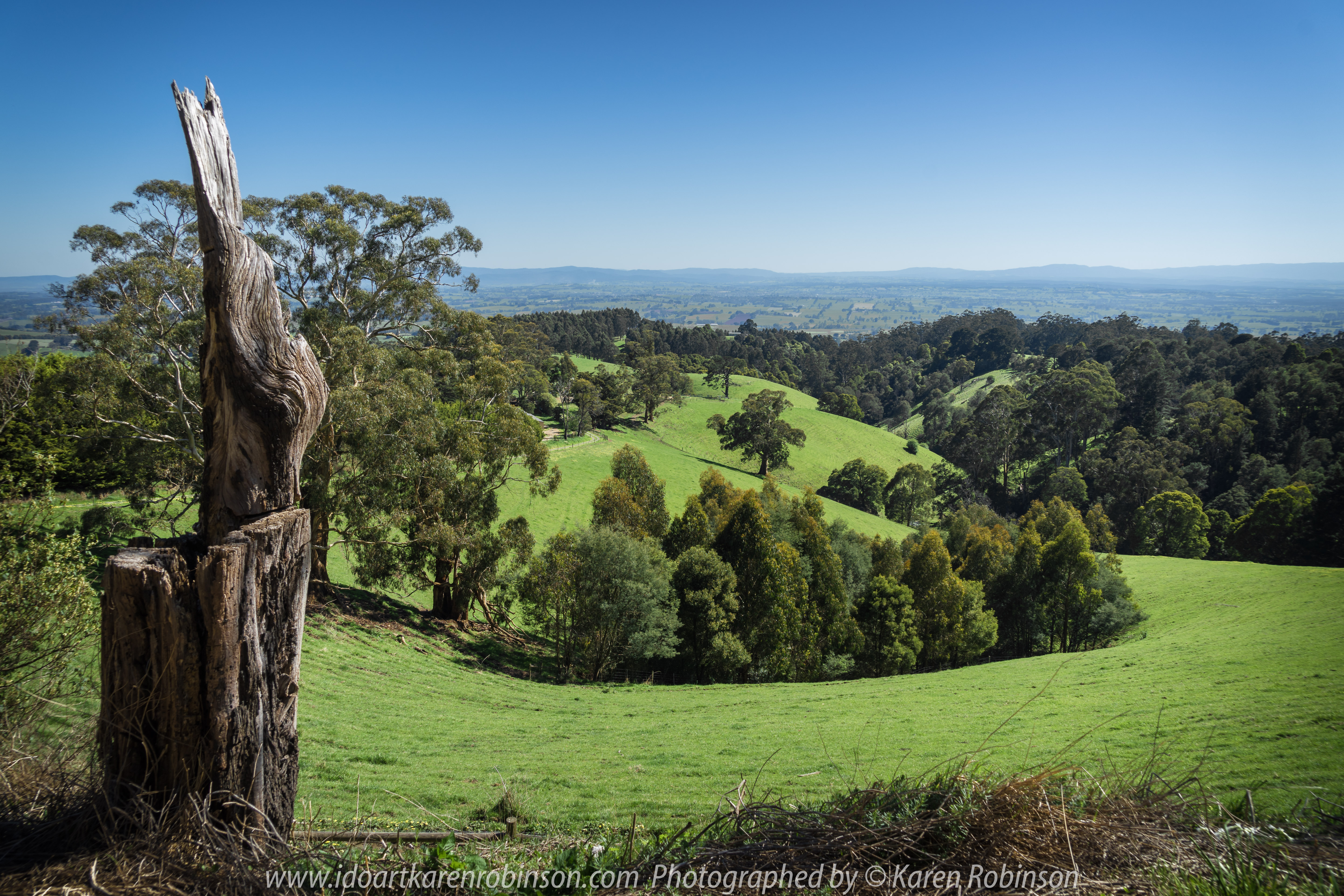 Seaview Region, Melbourne - Australia "Grand Ridge Road Region" Photographed by Karen Robinson NB Copyright Protected_ www.idoartkarenrobinson.com October 17, 2017. NB: Day trip with hubby to visit this beautiful region at its best when all is green before the summer turns it brown.