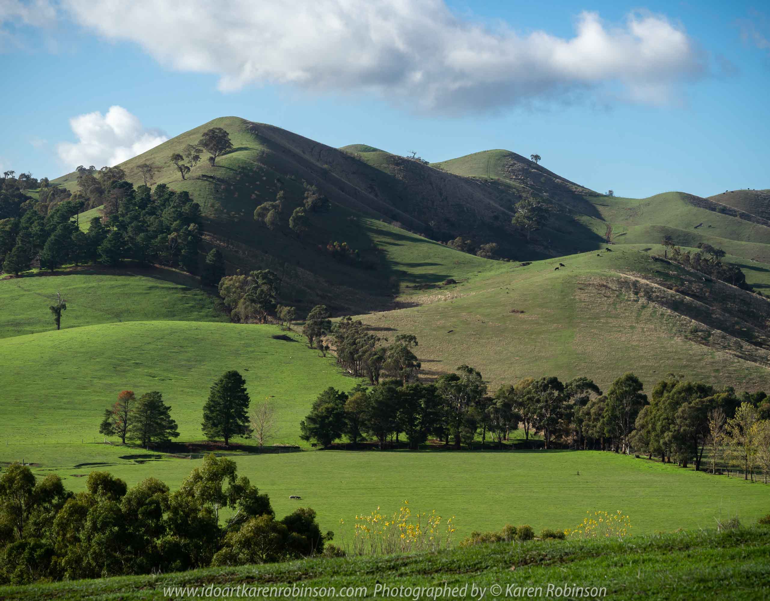 Strath Creek, Victoria - Australia 'Autumn Drive' Photographed by Karen Robinson May 2019 Comments - Panoramic Views of this beautiful region.