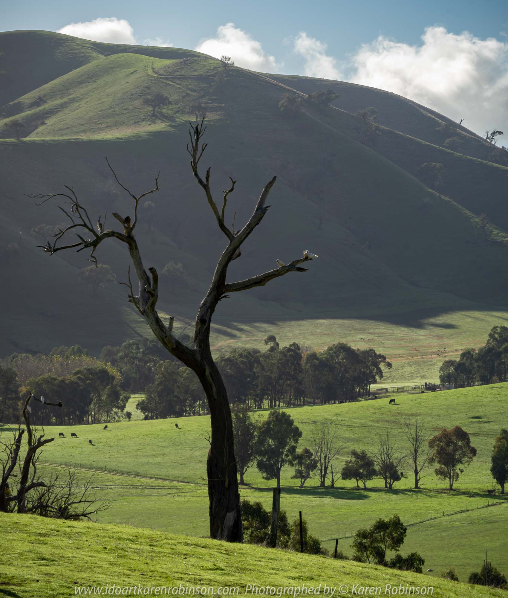 Strath Creek, Victoria - Australia 'Autumn Drive' Photographed by Karen Robinson May 2019 Comments - Panoramic Views of this beautiful region.
