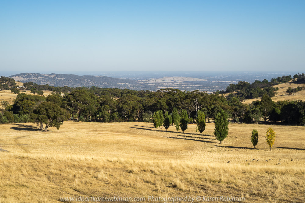 Kevin View, Victoria - Australia 'Mount Wombat Lookout Region' Photographed by Karen Robinson March 2018 NB. All images are protected by copyright laws. Comments - Hubby and I travelled up to the lookout to photograph the sunrise which included amazing views looking out from around the towers. Also managed to capture some lovely photographs of the Kelvin View Region on our way back home during the morning daylight.