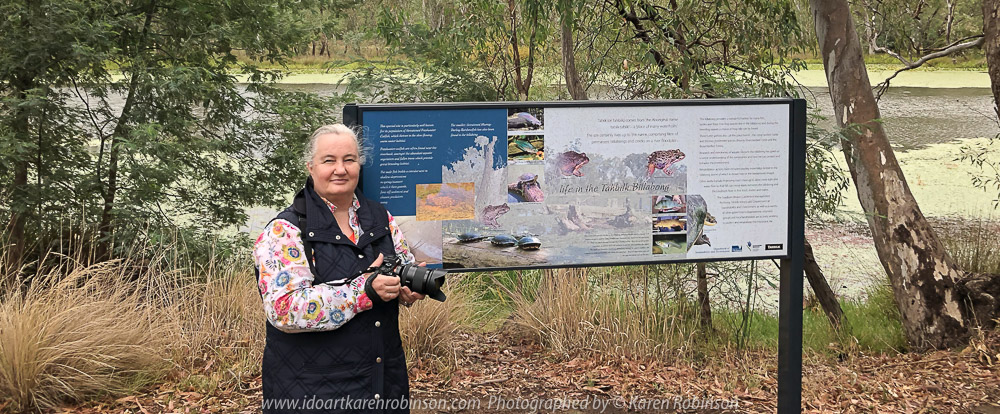 Tabilk, Victoria - Australia 'Tahbilk Winery and Wetlands' Photographs by Karen Robinson March 2018 NB. All images are protected by copyright laws. Comments - A lovely day trip with the Craigieburn Camera Club. Tabilk-tabilk 'place of many waterholes' in the language of the Daung-wurrung clans, the first people of Australia. It's a historic family owned winery with the property comprising of 1,214 hectares of rich river flats and a frontage of 11kms to the Goulburn River and 8 kms of permanent backwaters and creeks (Tahbilk 2018).