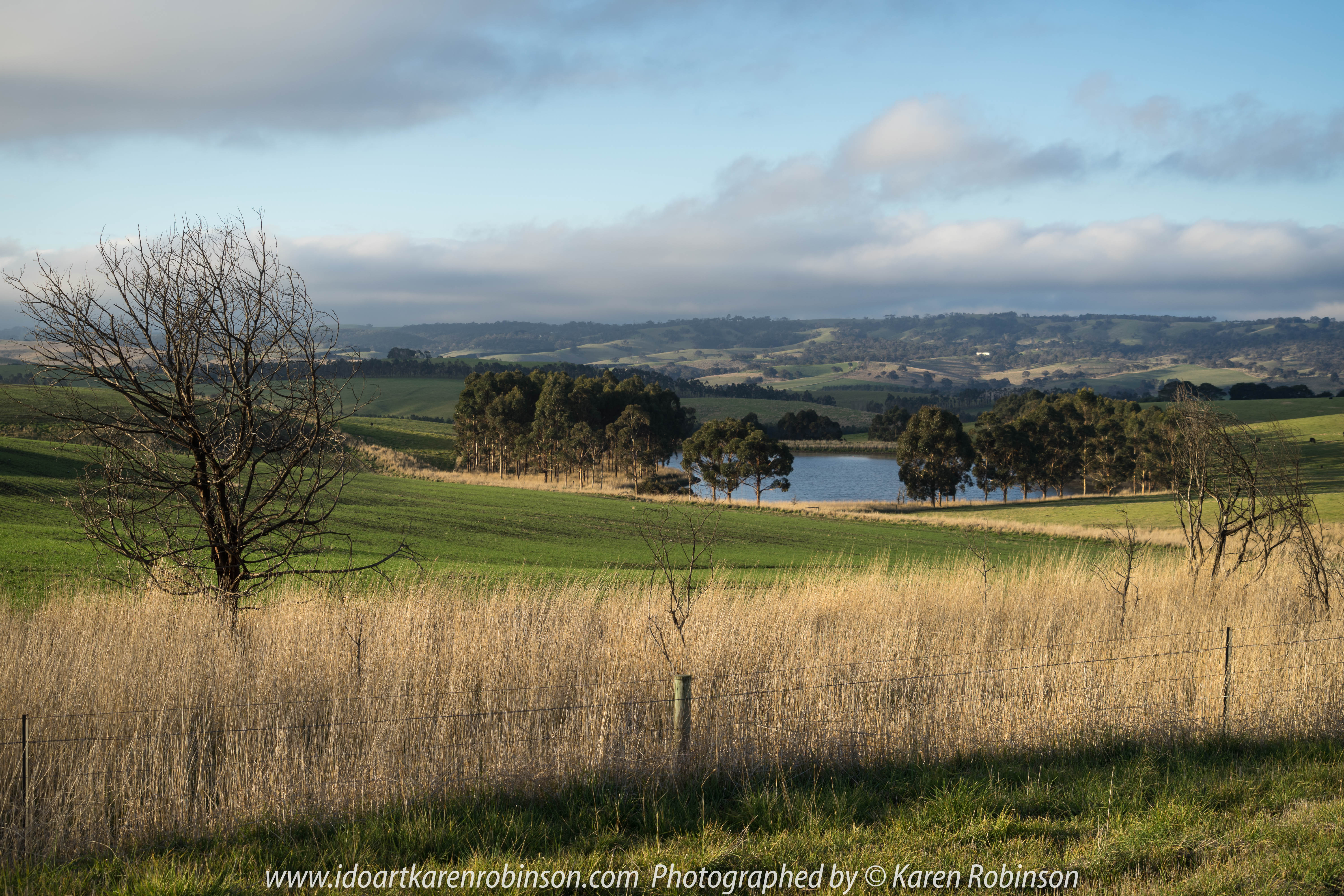Wallan Region, Victoria – Australia "Rural Landscape"_Photographed by ©Karen Robinson www.idoartkarenrobinson.com July 2017. Comments: Day out with daughter photographing landscape and wildlife on a beautiful winter's day.