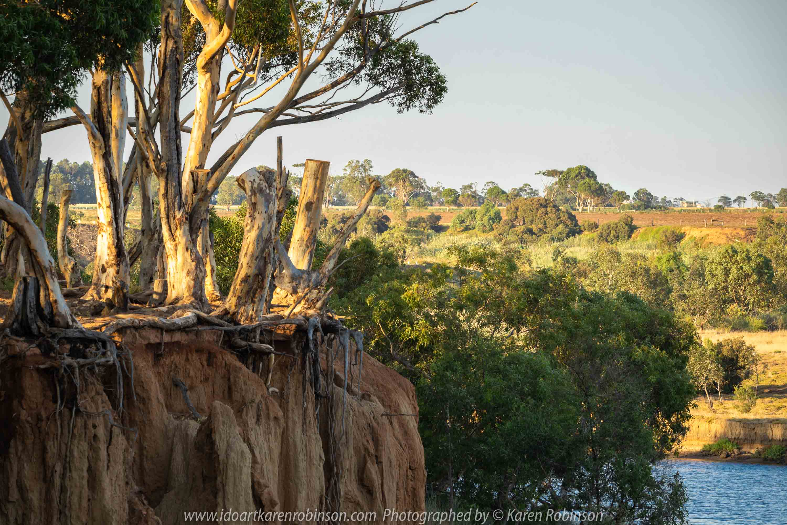 Werribee South, Victoria - Australia 'Werribee River K Road' Photograph by Karen Robinson February 2019 Comments - A morning out with hubby and me with granddaughter and daughter photographing rare sighting of an Eastern Osprey water bird.