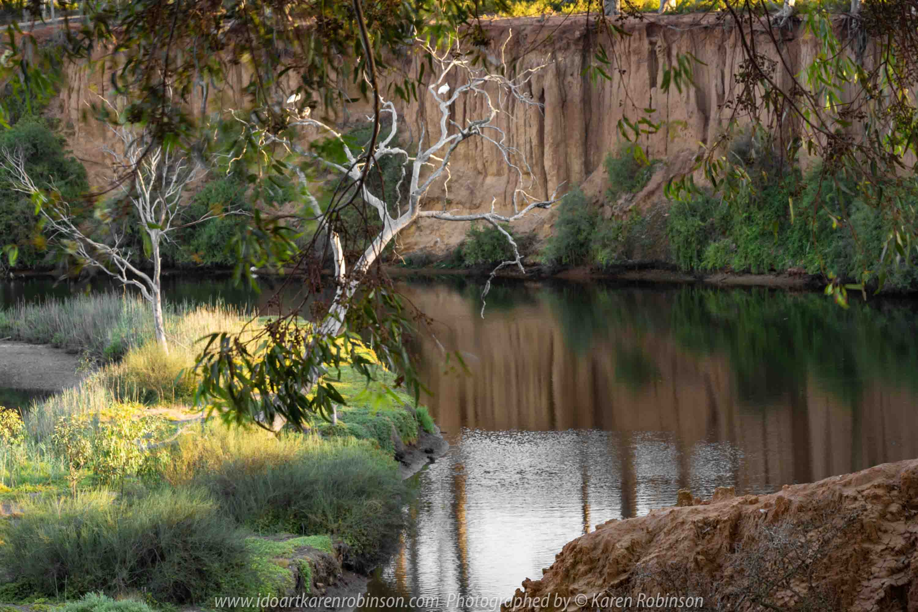 Werribee South, Victoria - Australia 'Werribee River K Road' Photograph by Karen Robinson February 2019 Comments - A morning out with hubby and me with granddaughter and daughter photographing rare sighting of an Eastern Osprey water bird.
