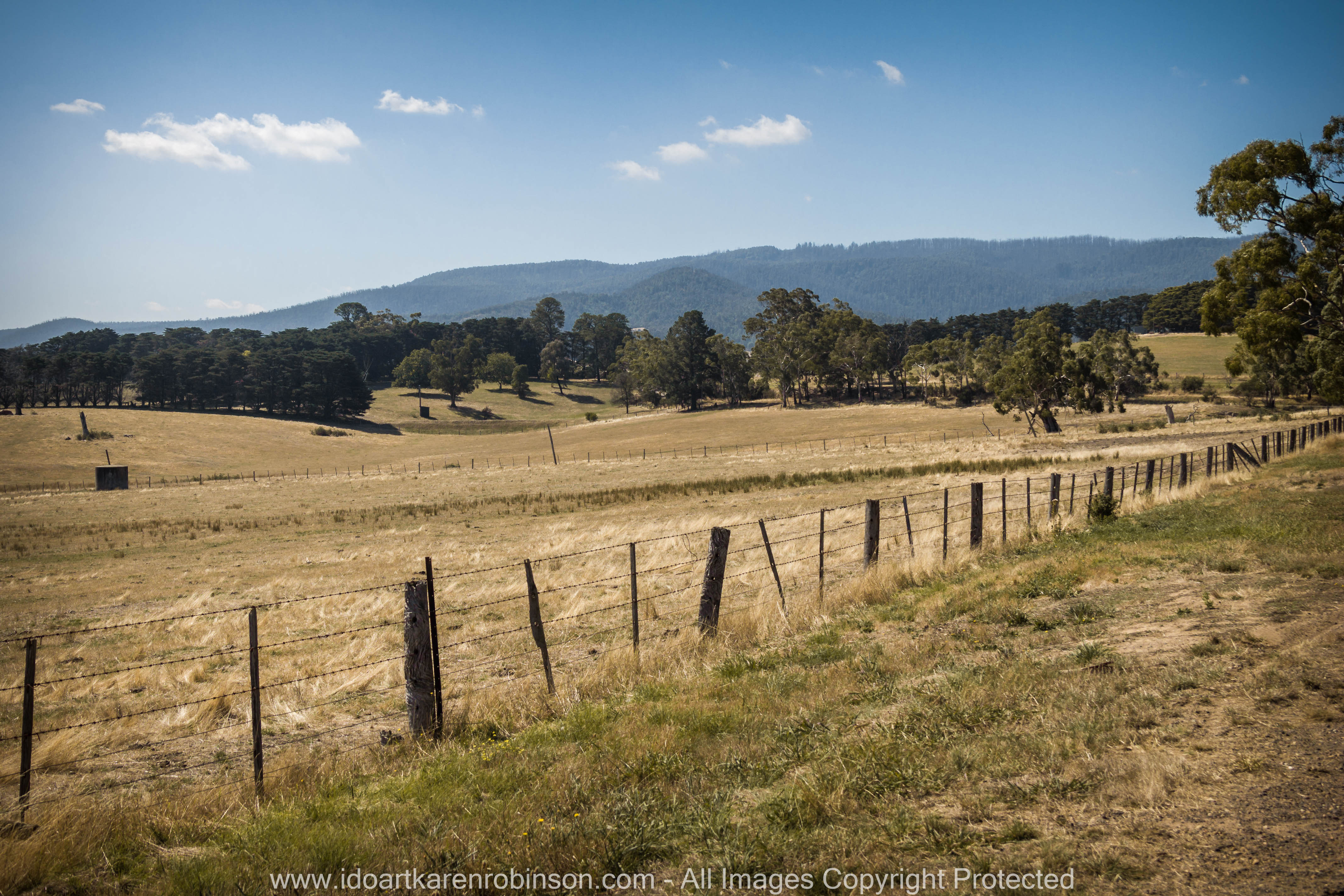 Whittlesea, Victoria - Australia 'Farmlands & Mount Disappointment State Forest Region' Photographed by © Karen Robinson www.idoartkarenrobinson.com March 2017
