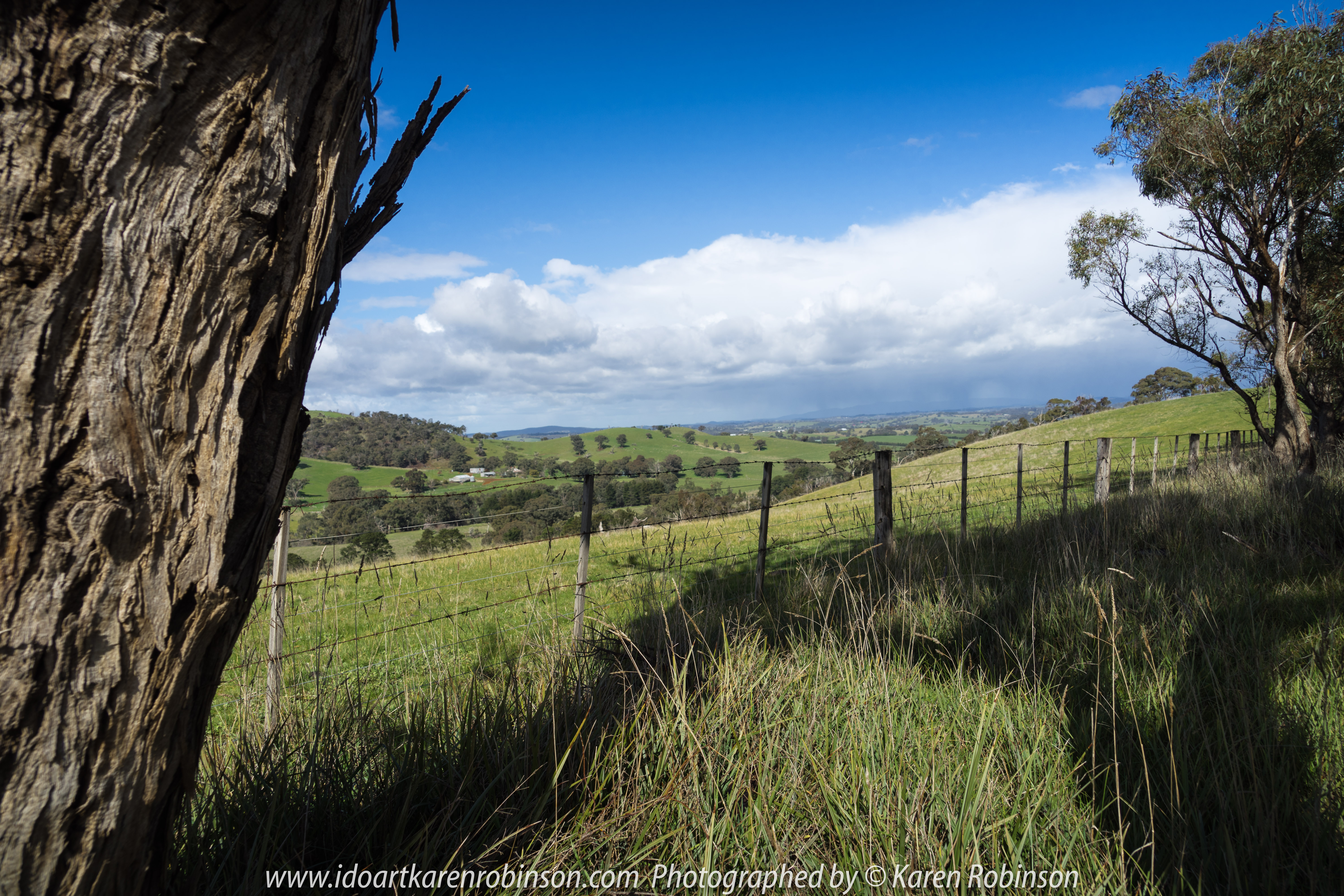 Yan Yean Region, Victoria - Australia_Photographed by ©Karen Robinson www.idoartkarenrobinson.com 2017 Aug 27 Comments: Chilly Winter's day on Ridge Road looking south across the farming region of Yan Yean towards Arthurs Creek.