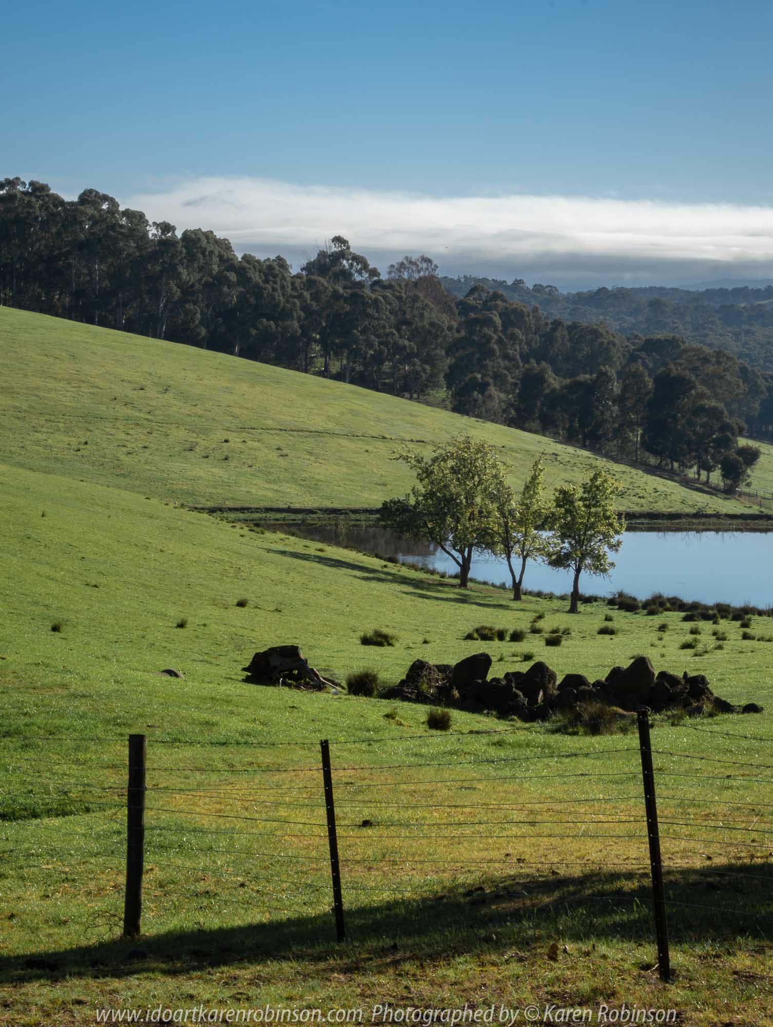 Comments: Yarra Glen Region, Victoria - Australia September 2018. The last day in September, a beautiful spring day, hubby and I decided to take a drive through the Yarra Glen Region. At this time of the year the valleys and hillsides are lush green. Vineyards feature widely throughout the region alongside of pastures where cattle happily grazed under the warm sunshine. Grey clouds gathered up along the mountains ranges as the day drifted towards its end. A beautiful spring day we so much enjoyed – a good to be alive day! NB: All images are protected by copyright laws Photographed by Karen Robinson www.idoartkarenrobinson.com
