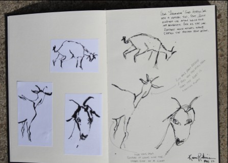 View No. 2 "Goat" - Karen Robinson's ink drawings created in Marco Luccio's arts session on creating powerful & expressive drawings 2015.JPG NB: All images are protected by copyright laws